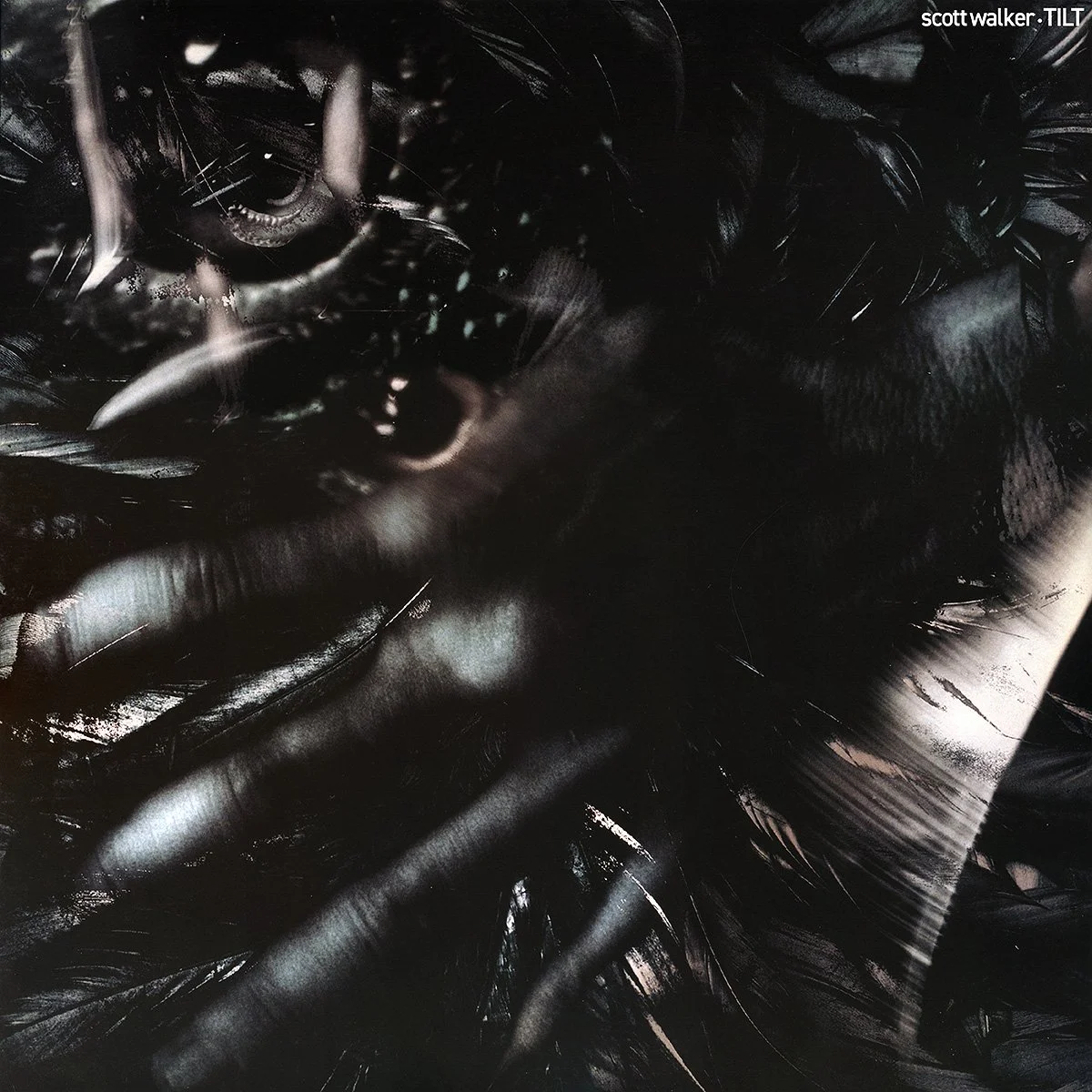 Album cover for 'Tilt' featuring a motion blurred close-up of a hand with fingers spread over dark, shiny chicken feathers with reflective surfaces, creating an abstract and textured appearance. Chicken eye in top-left corner.