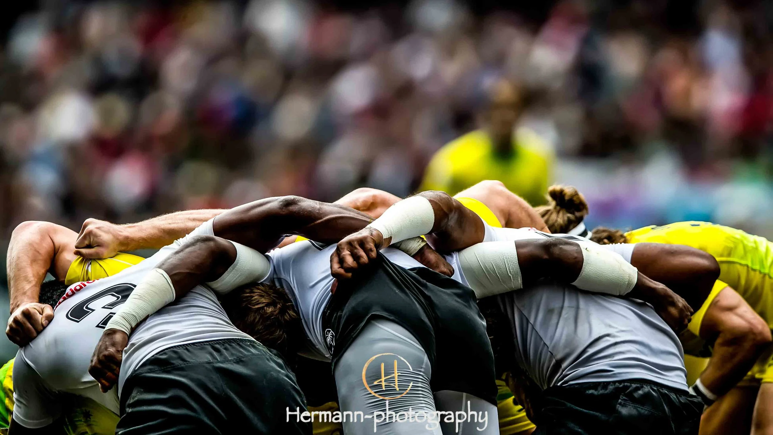 4-CY_B0255_1_crop 16x9.jpg