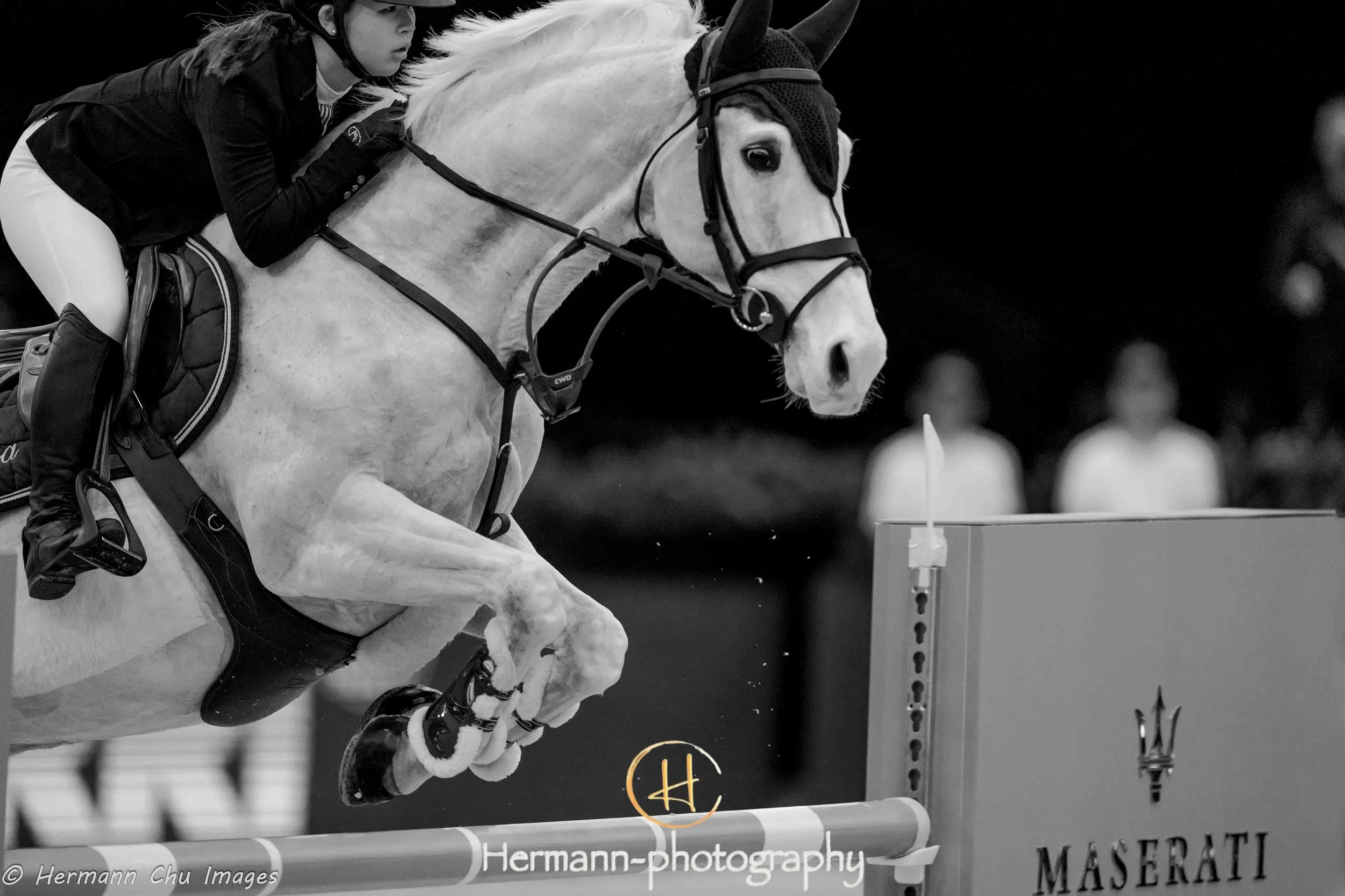 2019 0216 LONGINES MASTERS-95.jpg