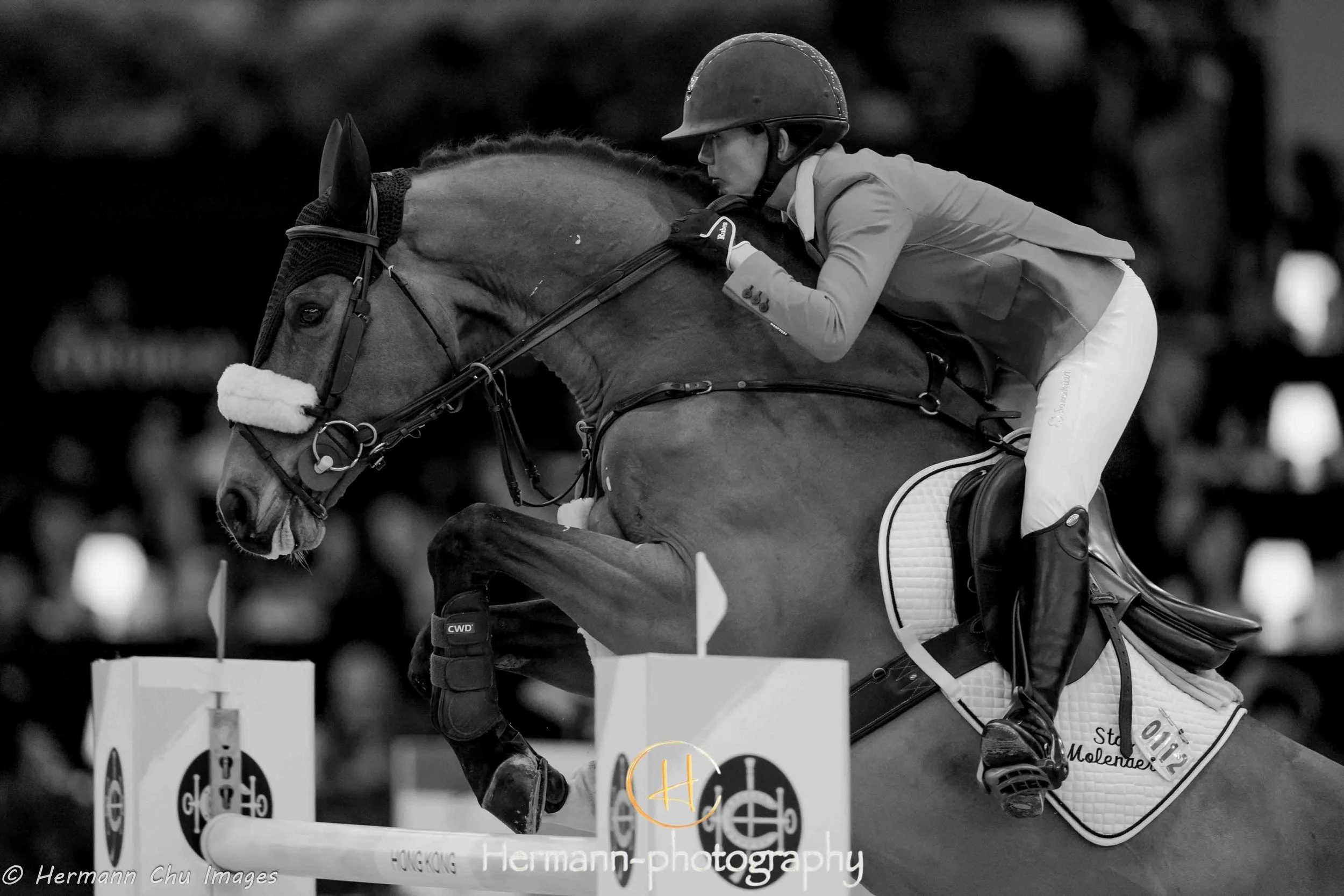 2019 0217 LONGINES MASTERS-06572.jpg