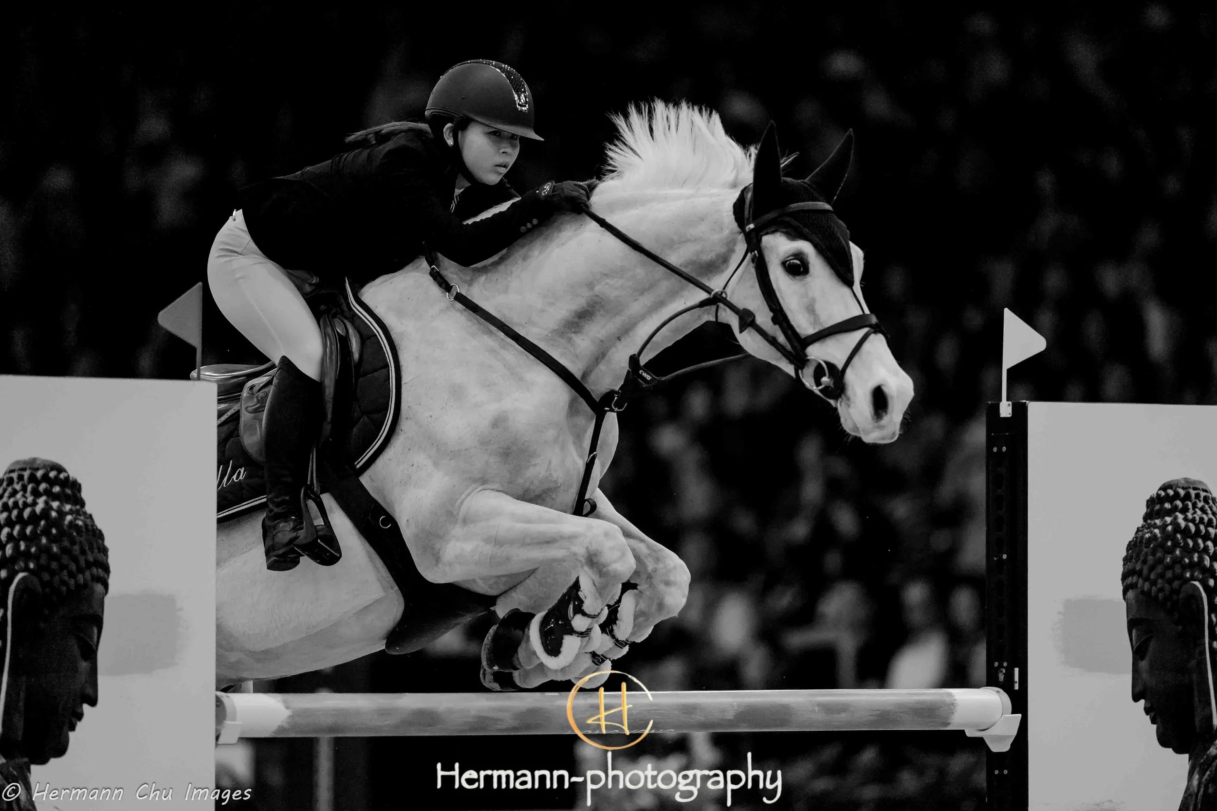 2019 0216 LONGINES MASTERS-01392.jpg