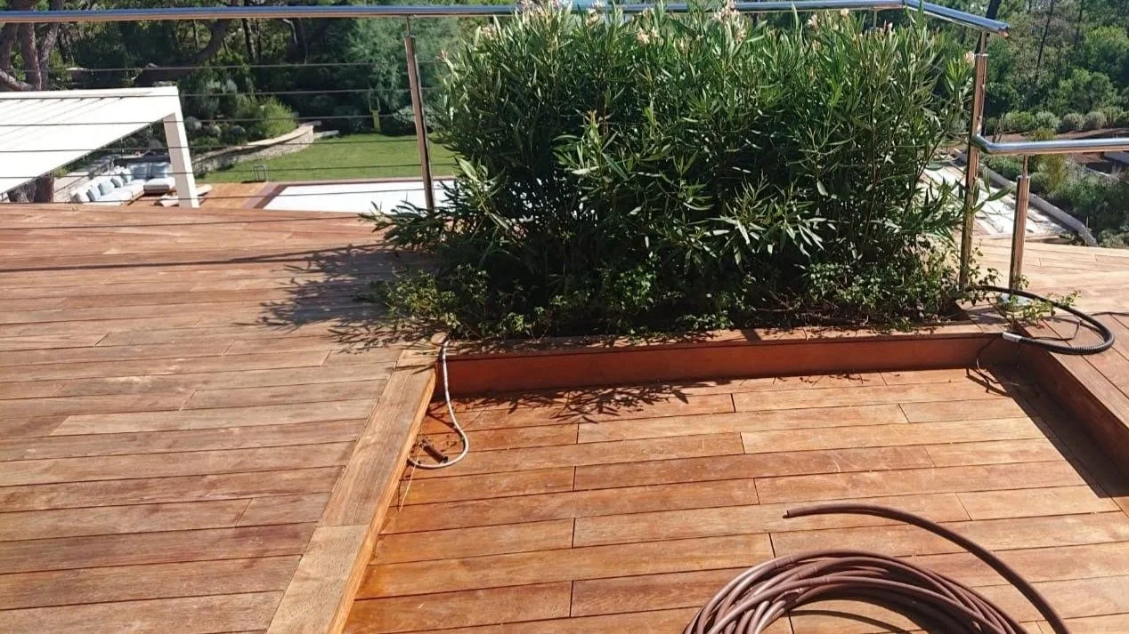 Holzterrasse mit einer großen Pflanze in einem rechteckigen Pflanzbeet, im Hintergrund ist eine ländliche Landschaft mit Bäumen und einem Wasserbecken zu sehen.