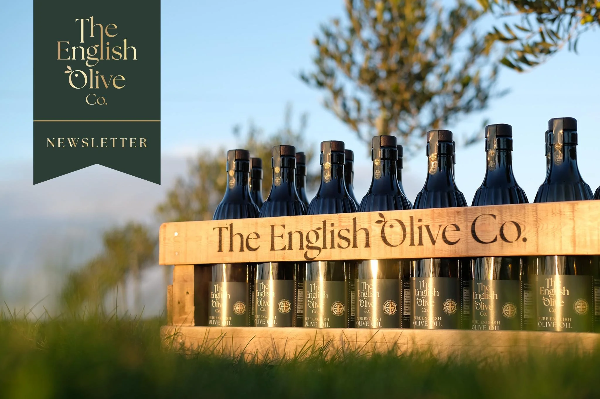 The English Olive Co. Newsletter