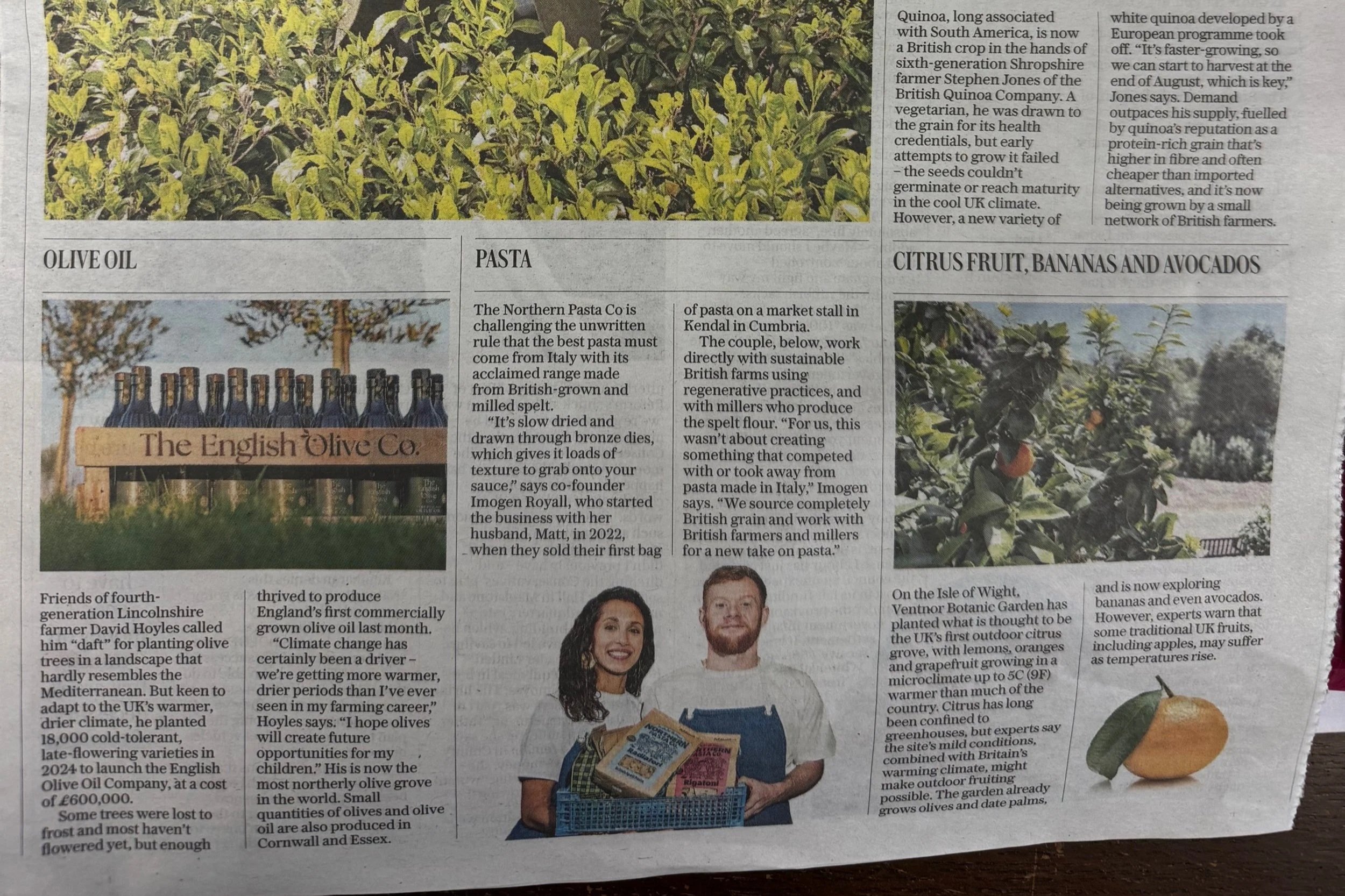 The Daily Telegraph; 19th January 2026