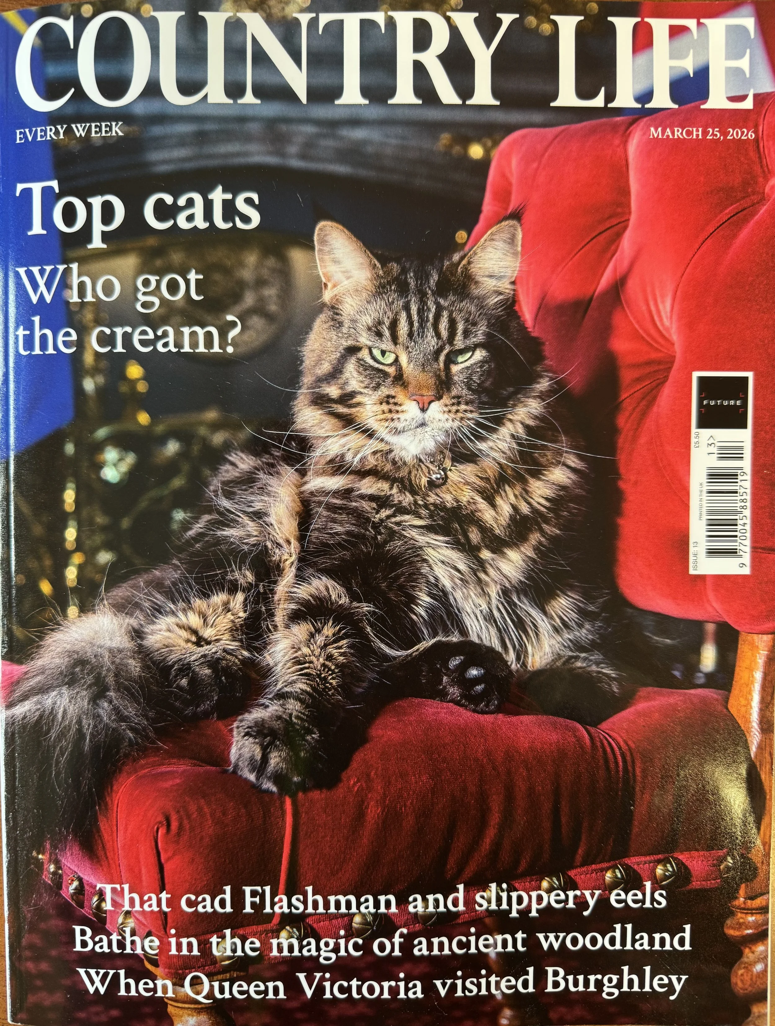 CLife FP 250327.jpeg