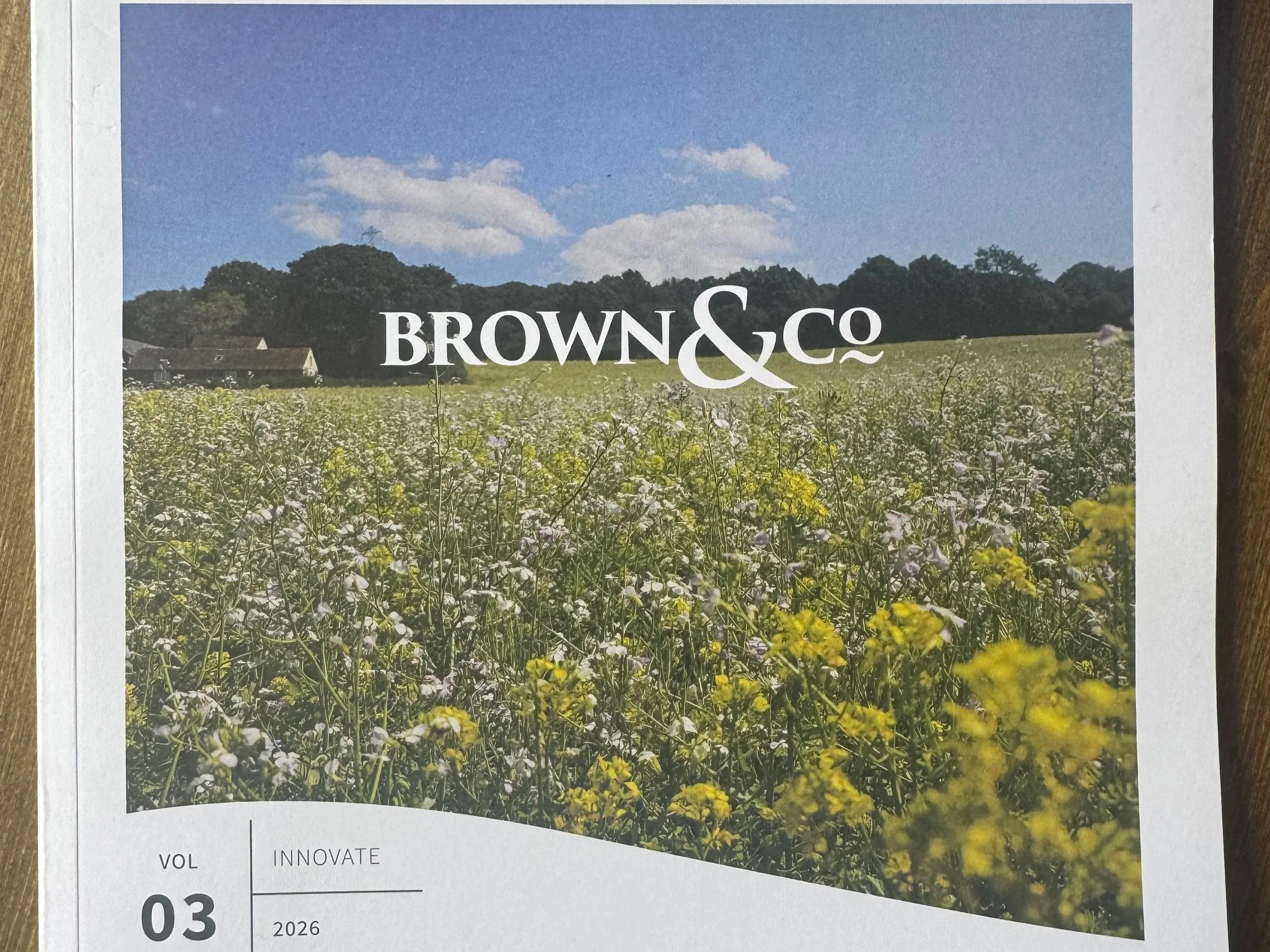 Brown &amp; Co - Innovate, vol 3; June 2026 