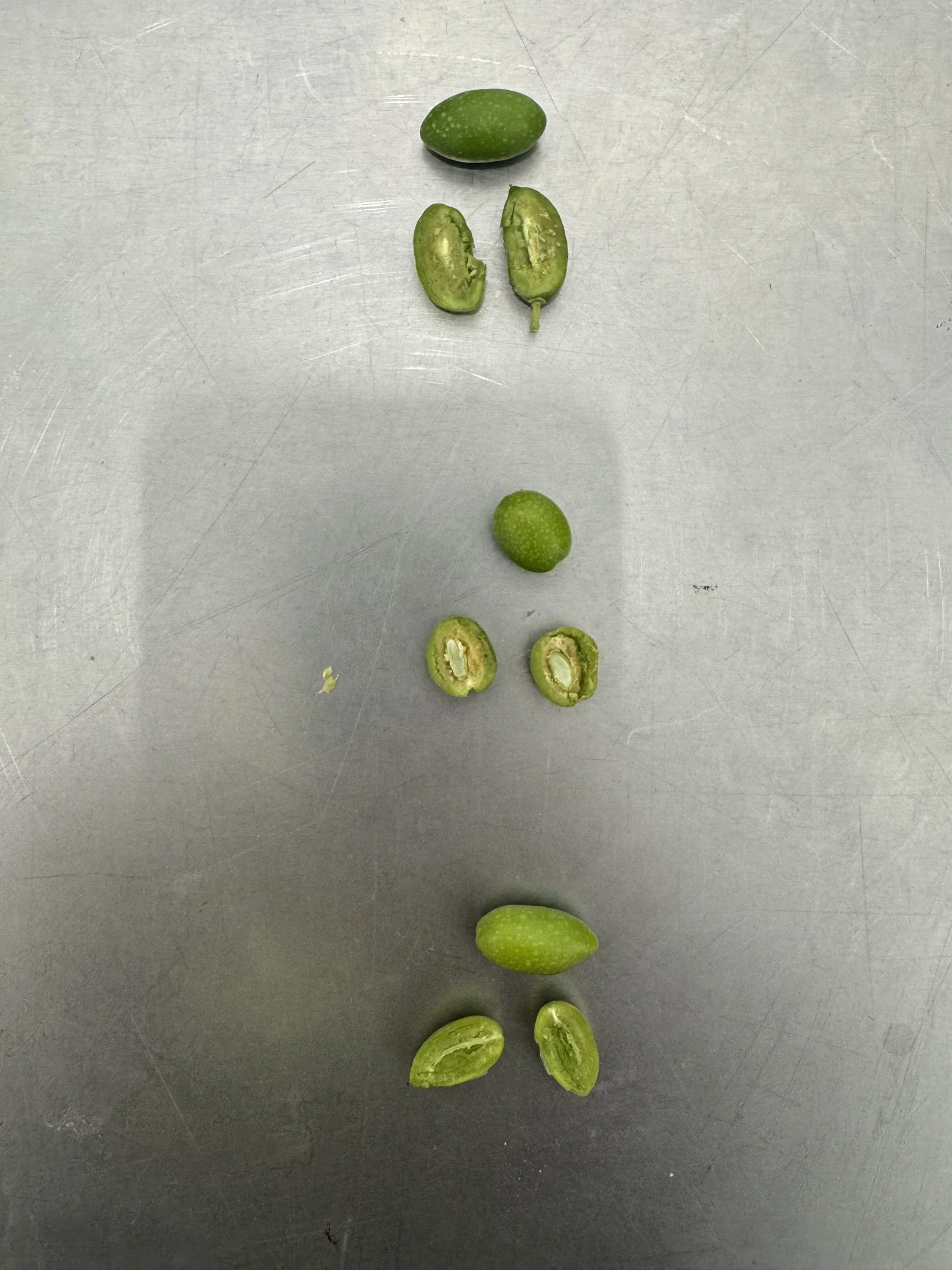 Aug olive1.jpeg