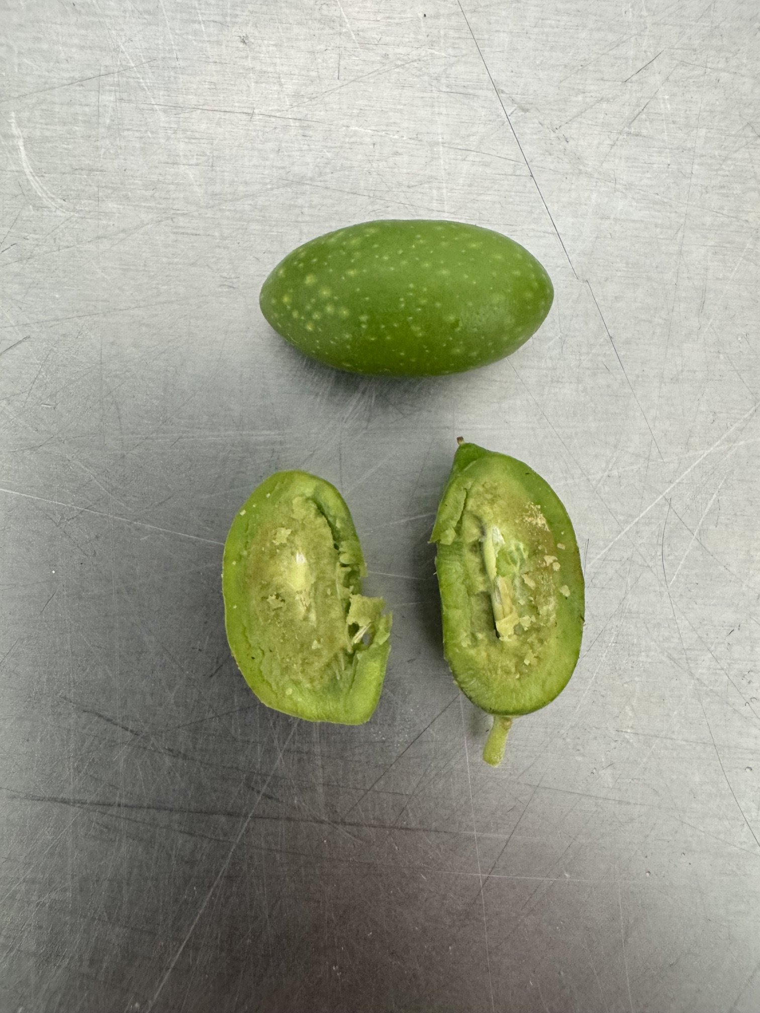 Aug olive2.jpeg