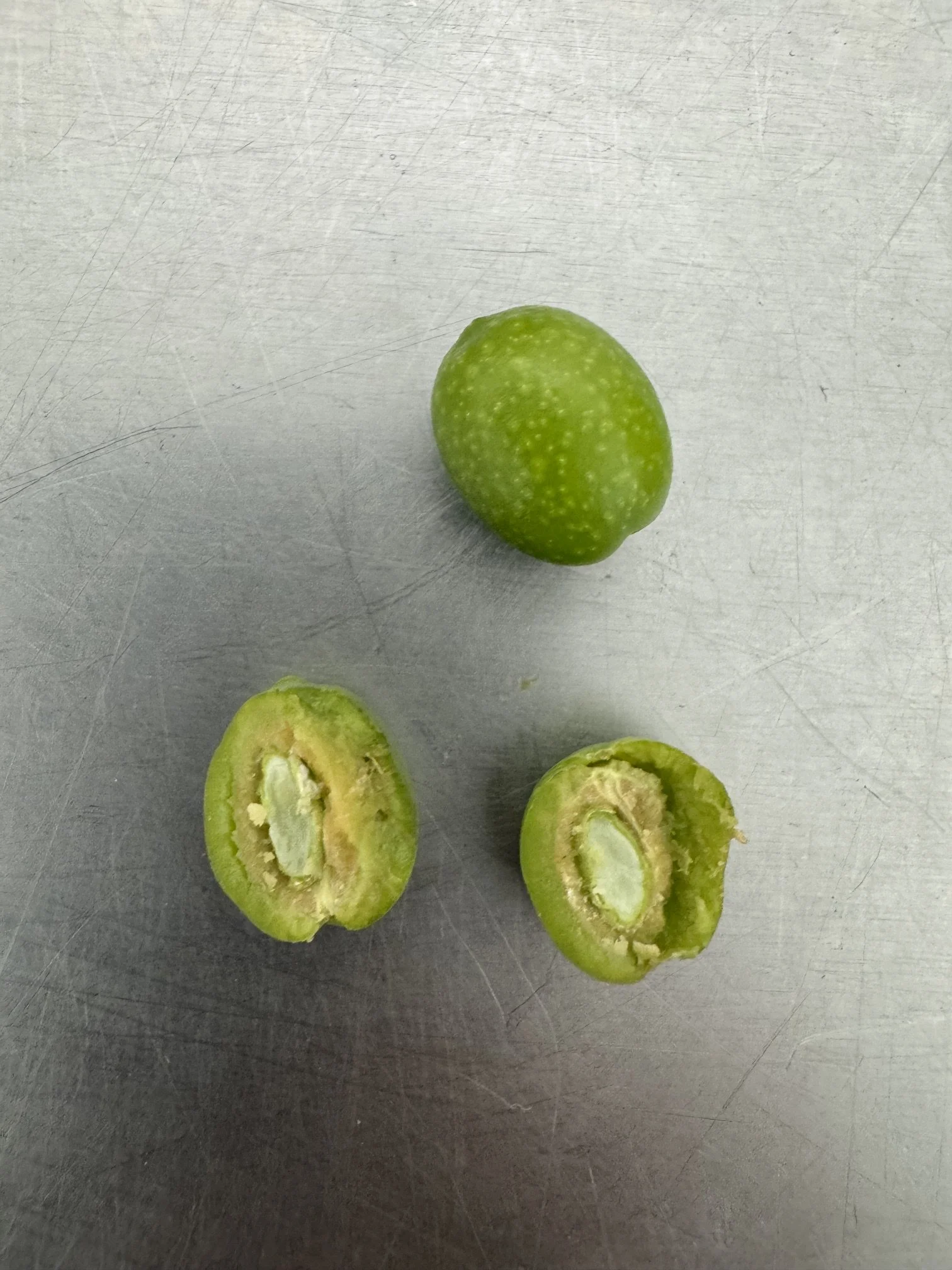 Aug olive3.jpeg