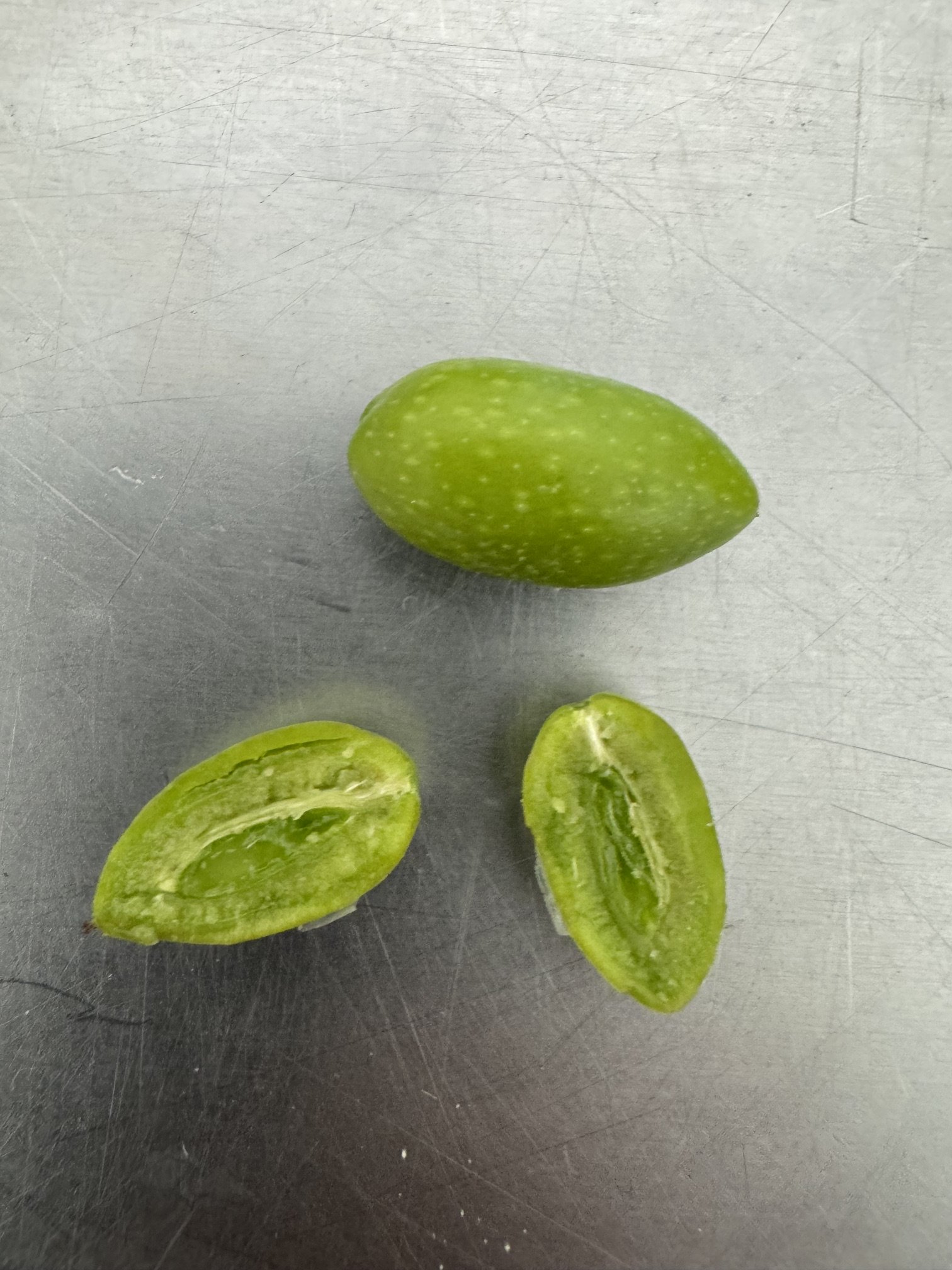 Aug olive4.jpeg