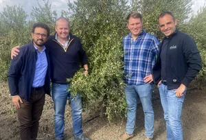 Olives & Us — The English Olive Company