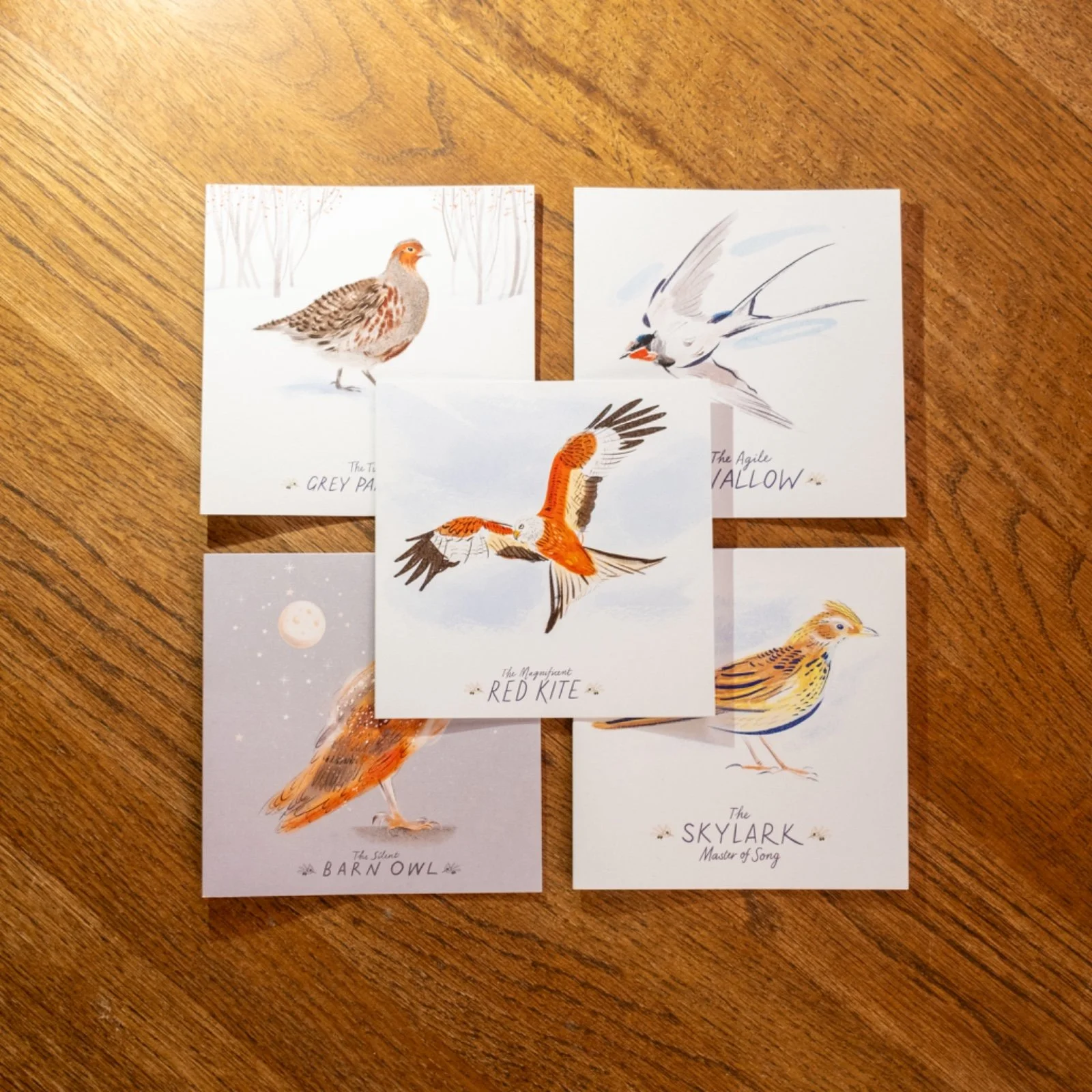 Birds.jpg