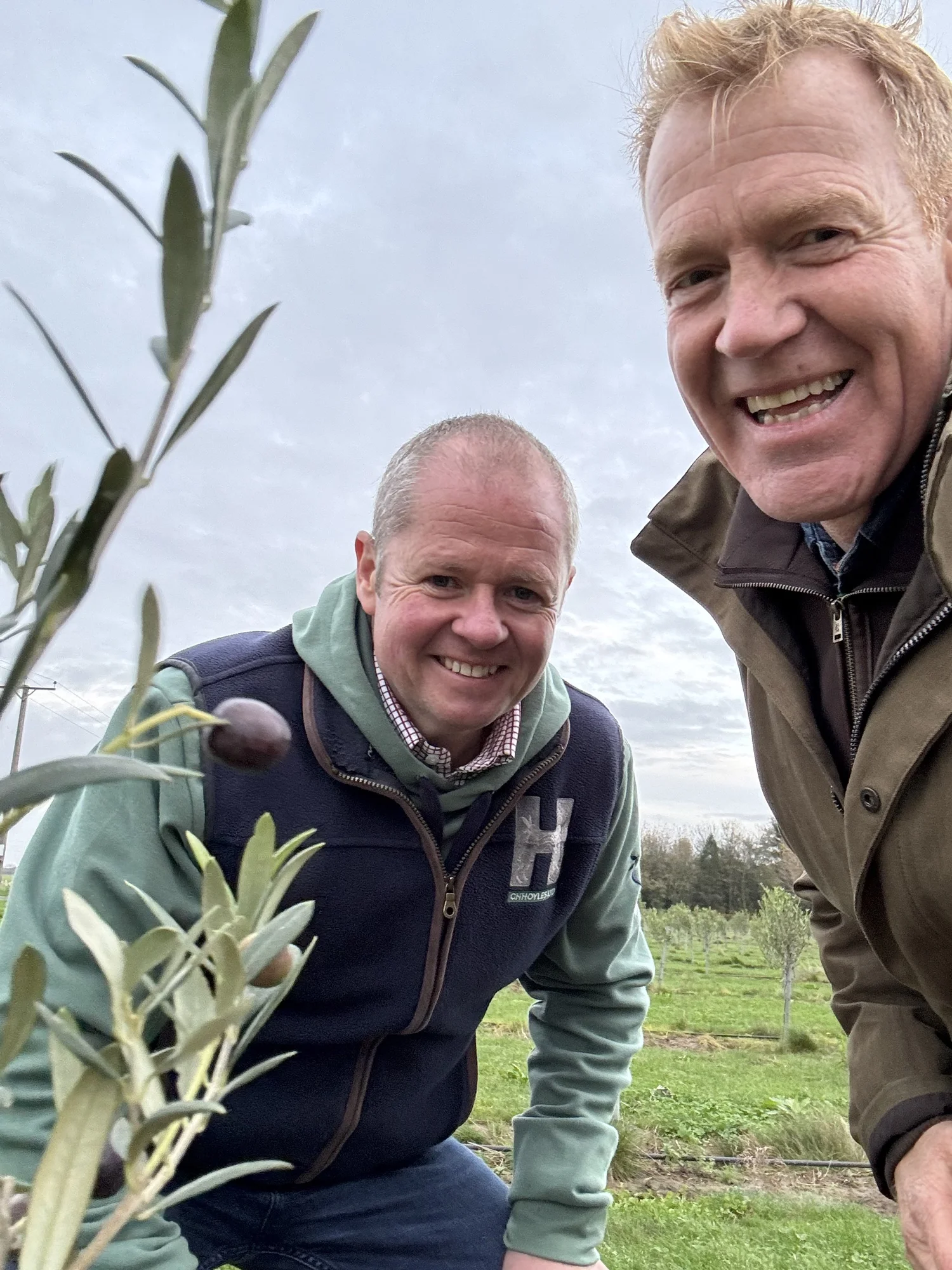 Olives & Us — The English Olive Company