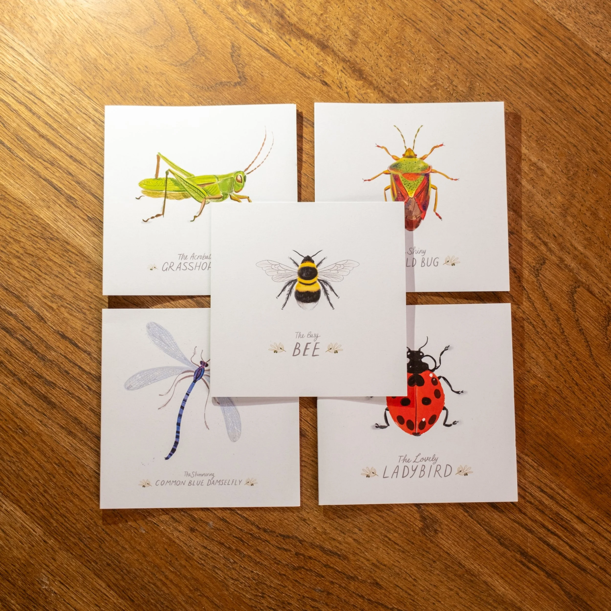 Insects.jpg