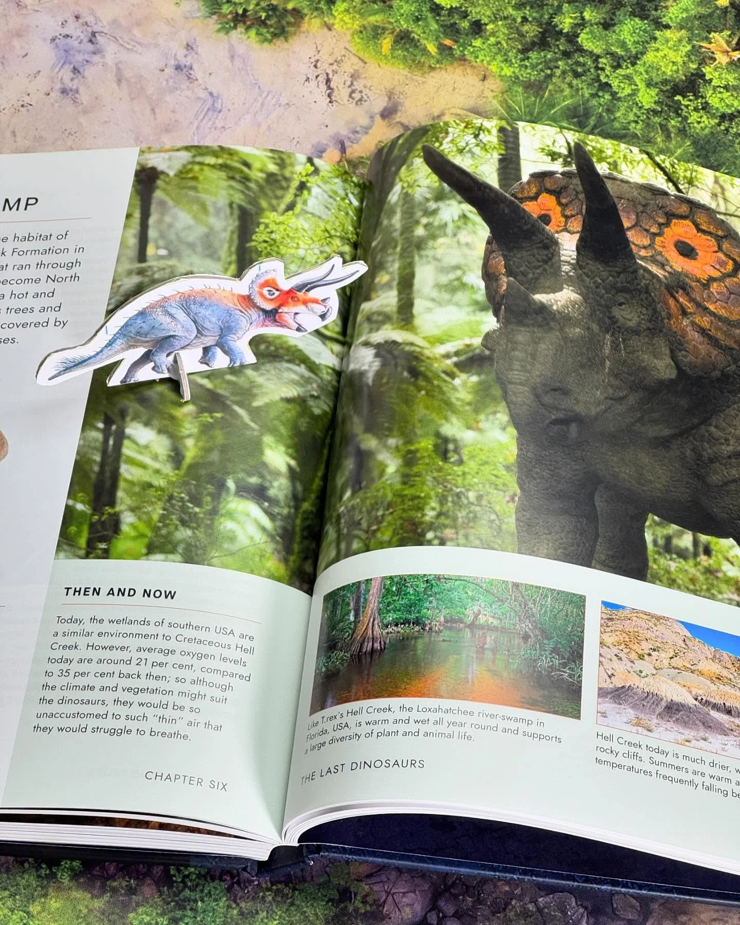 Seeing eye to eye on a lots of things...
#dinosaurs #walkingwithdinosaurs #tabletopgames
This is a fantastic book to go with the new BBC series!