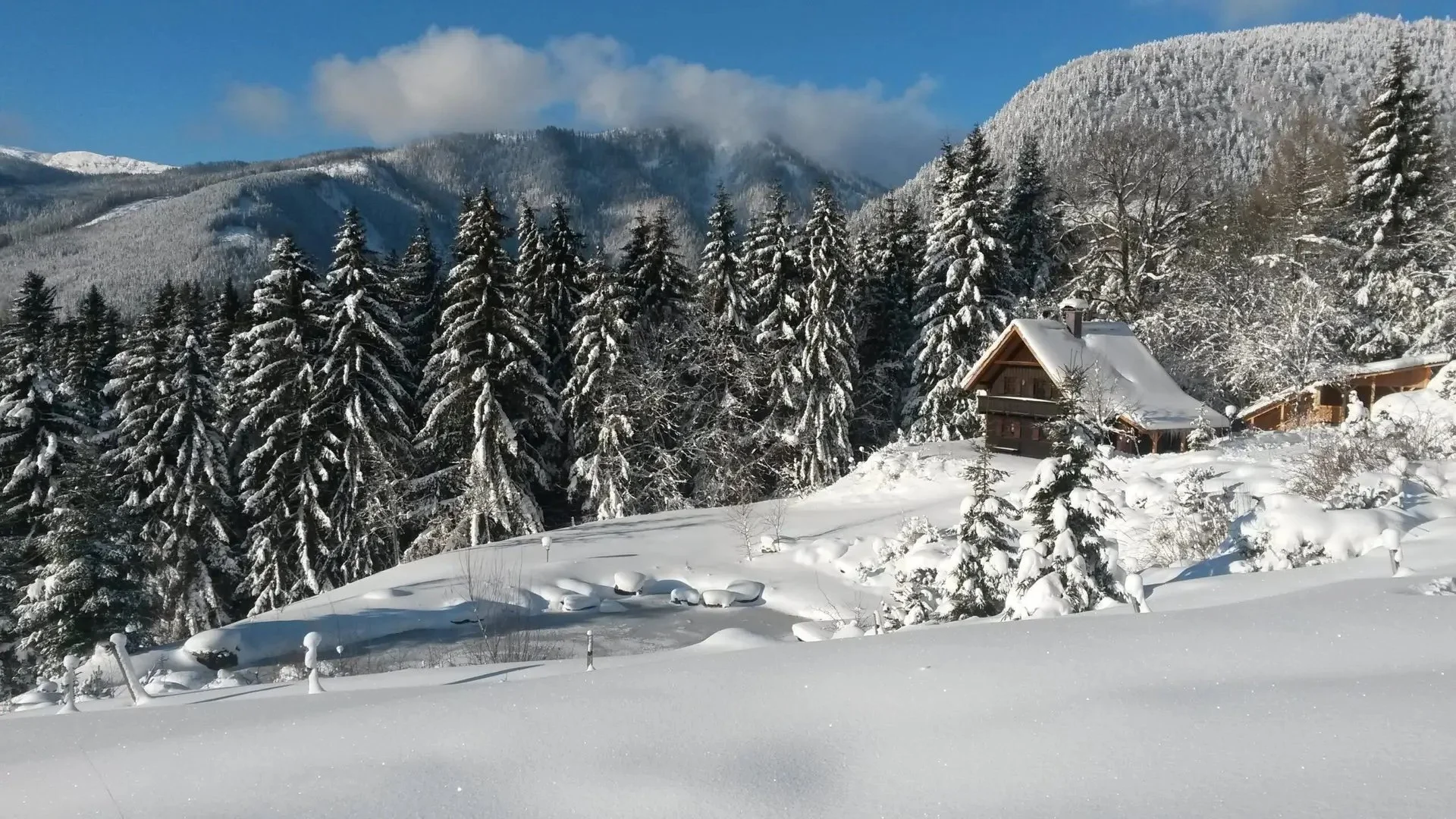 Eine weiß verschneite Winterlandschaft mit Wald und Bergen im Hintergrund und einer Holzhütte