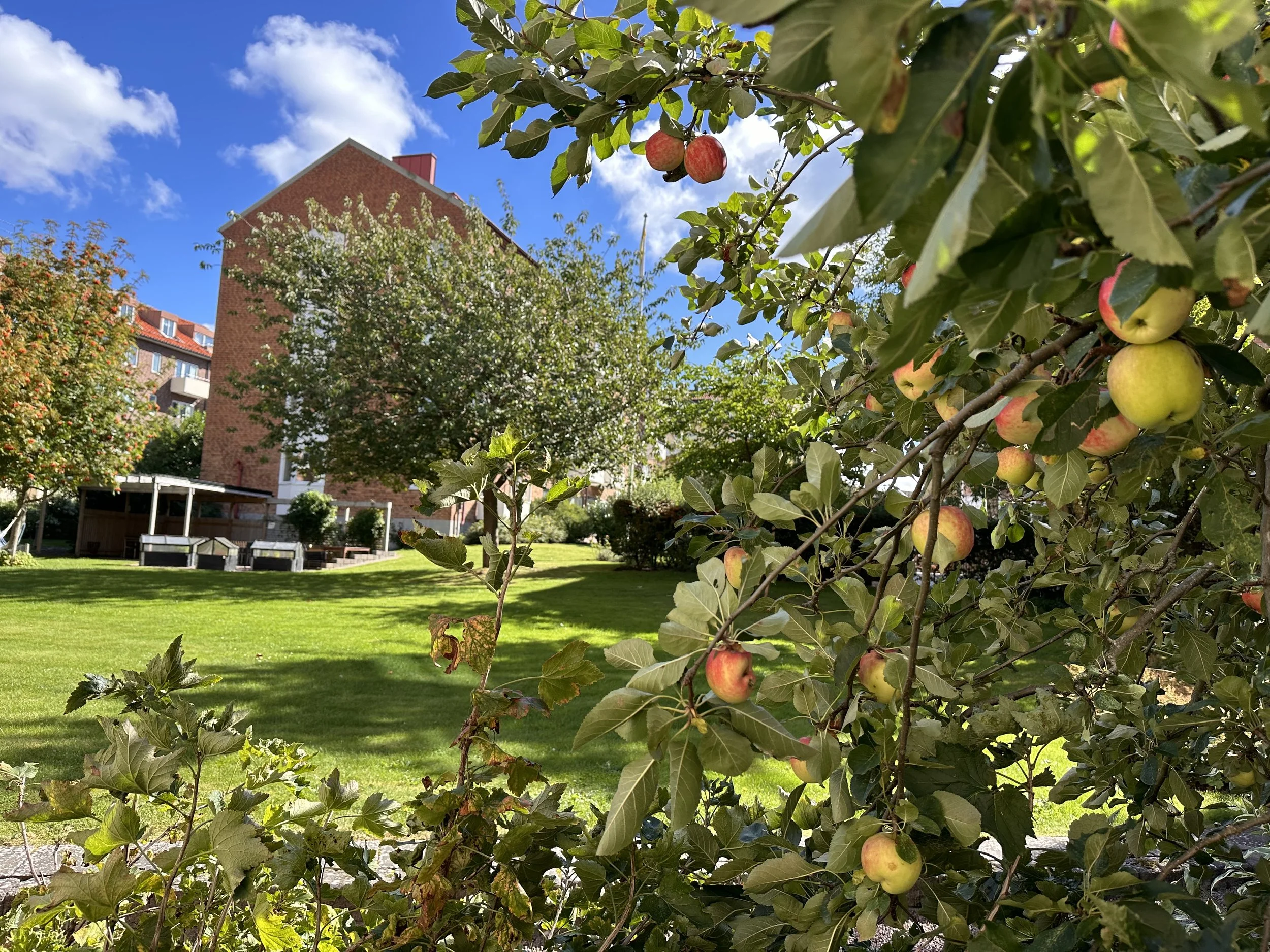 Association with focus on community. Svea, Helsingborg