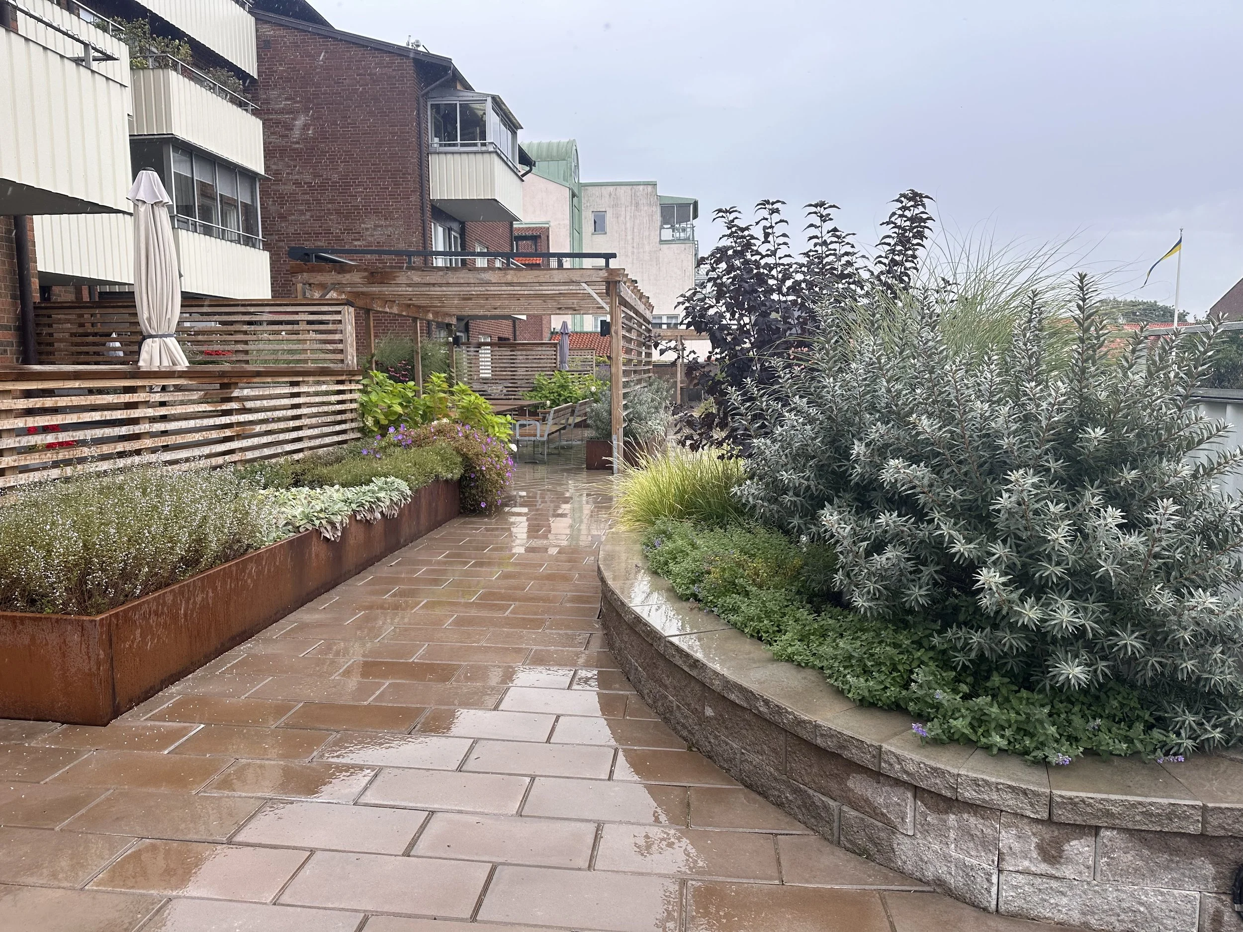 Rooftop garden- Vakteln, Ängelholm Sweden