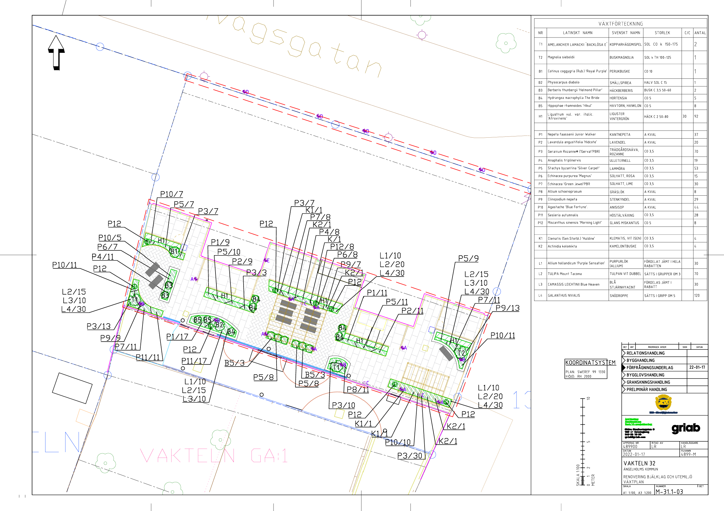 Vaktaln växtplan.png