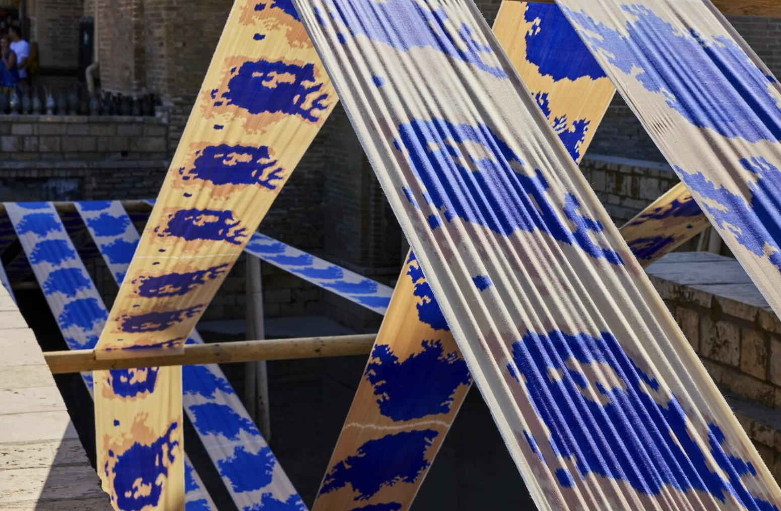 Hylozoic/Desires (Himali Singh Soin &amp; David Soin&nbsp;Tappeser)