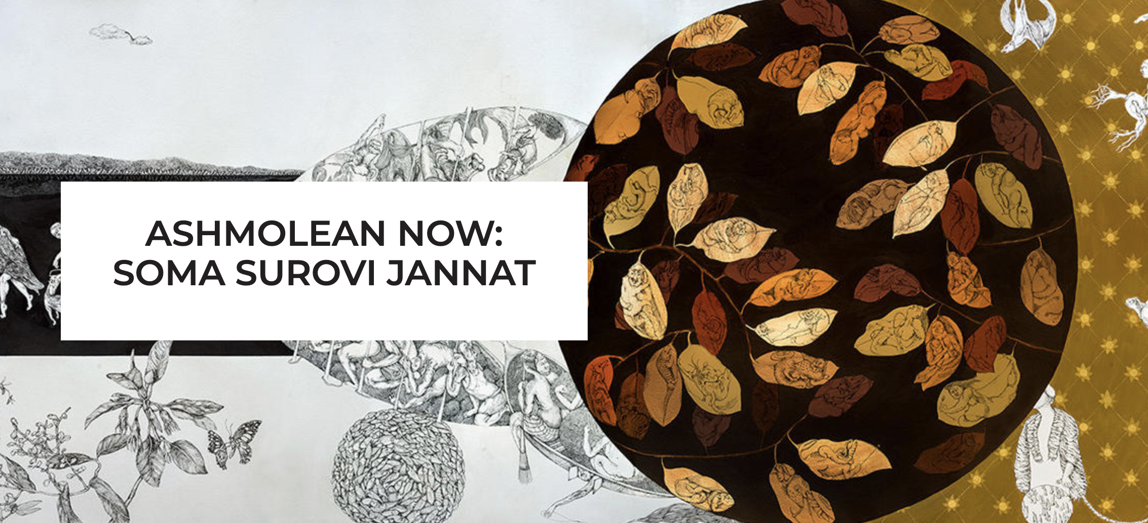 Soma Surovi Jannat: Climate Culture Care