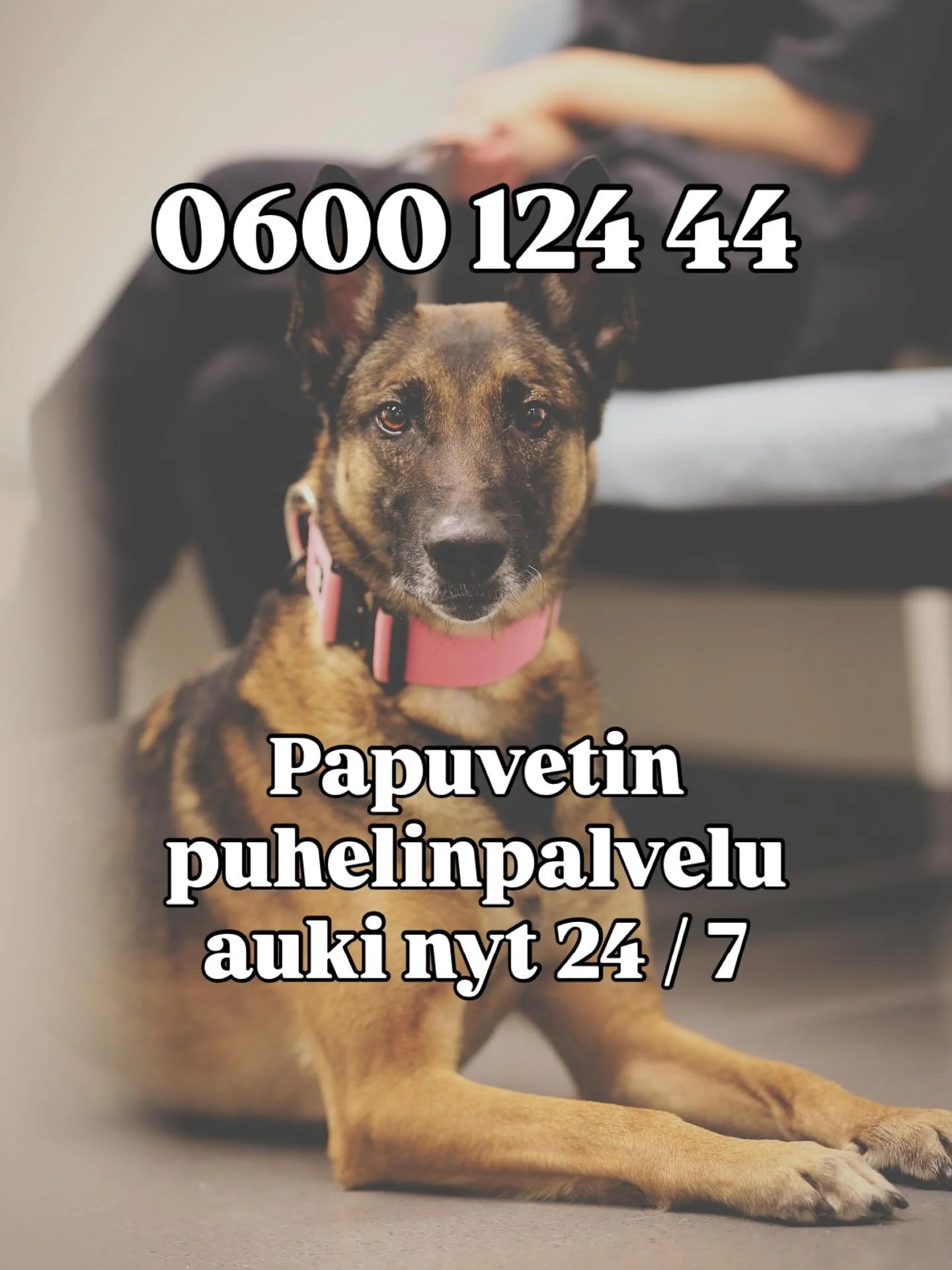 Huippuja uutisia! ✨ Puhelinpalvelumme on jatkossa auki ympäri vuorokauden - vuoden jokaisena päivänä. 📲 Päivystysnumeroon soittamalla saat ohjeita ja hoidontarpeen arvioinnin nopeasti ja ammattitaidolla.
🕓 Klinikan aukiol