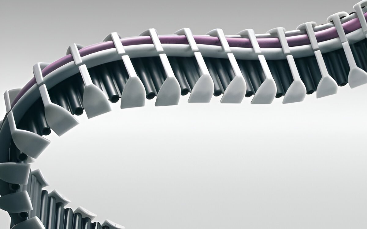 csm_protum-series_opener_87d872a800 (1).jpeg