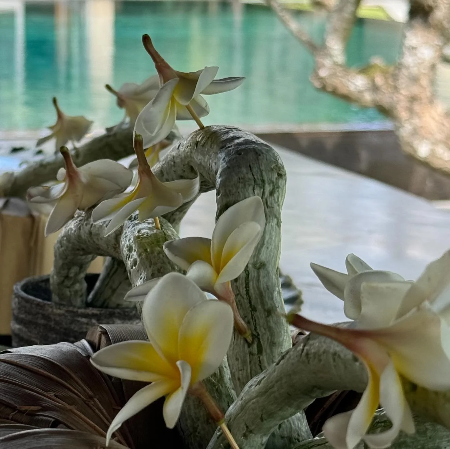When nature gives you inspiration for your table decorations
