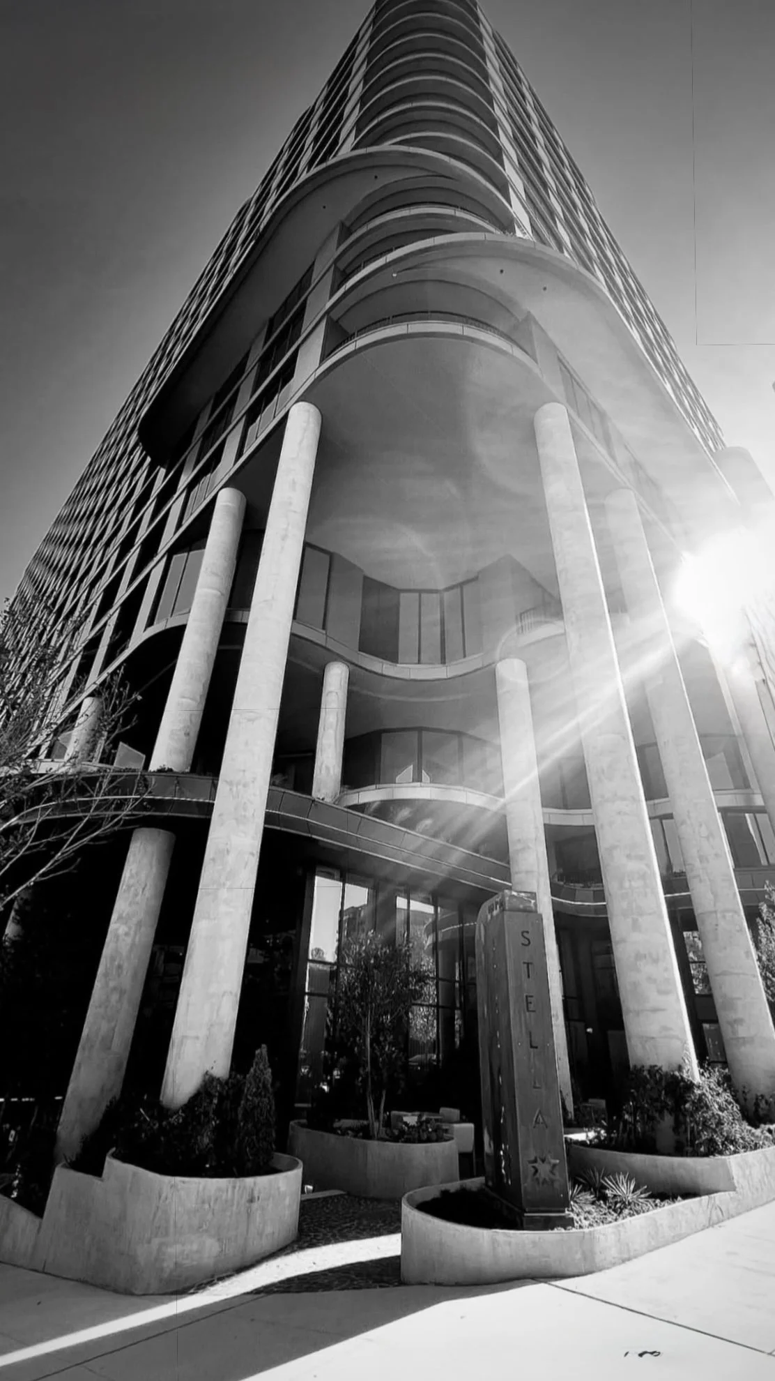 Stella at Star Metals, Atl, GA