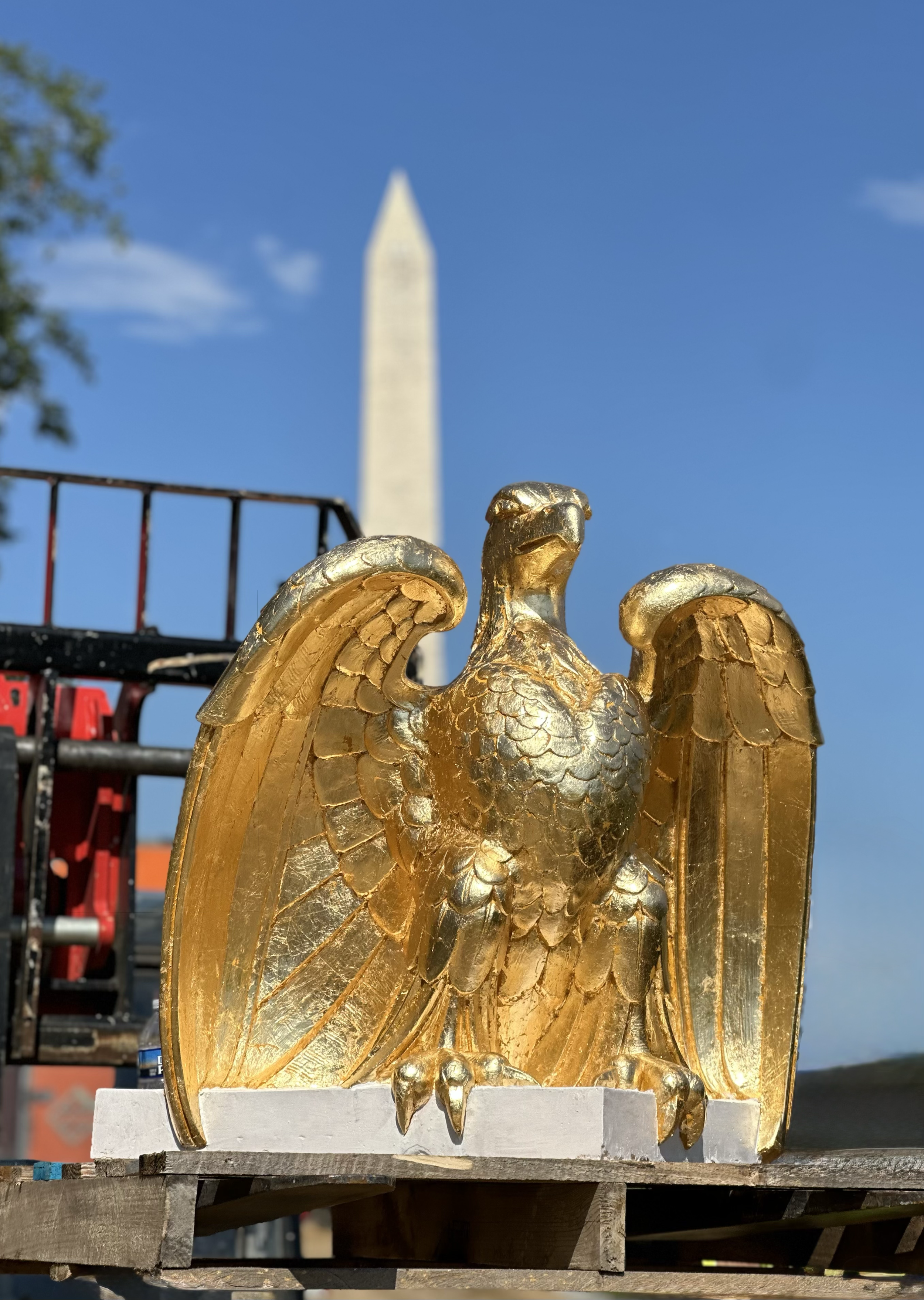 54 Gilded eagles for Freedom 250, America 250