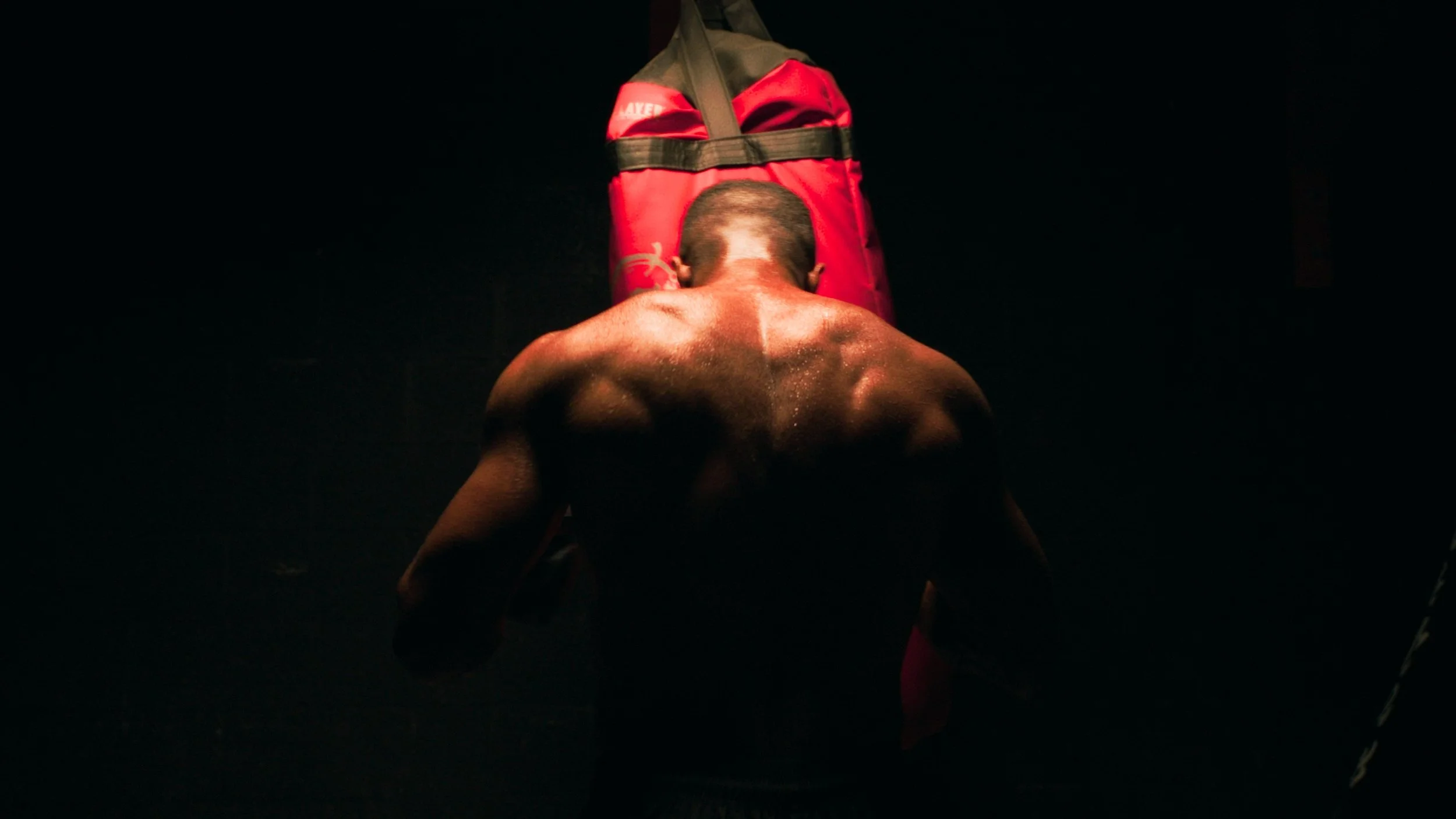 Icarus (Director of Photography)