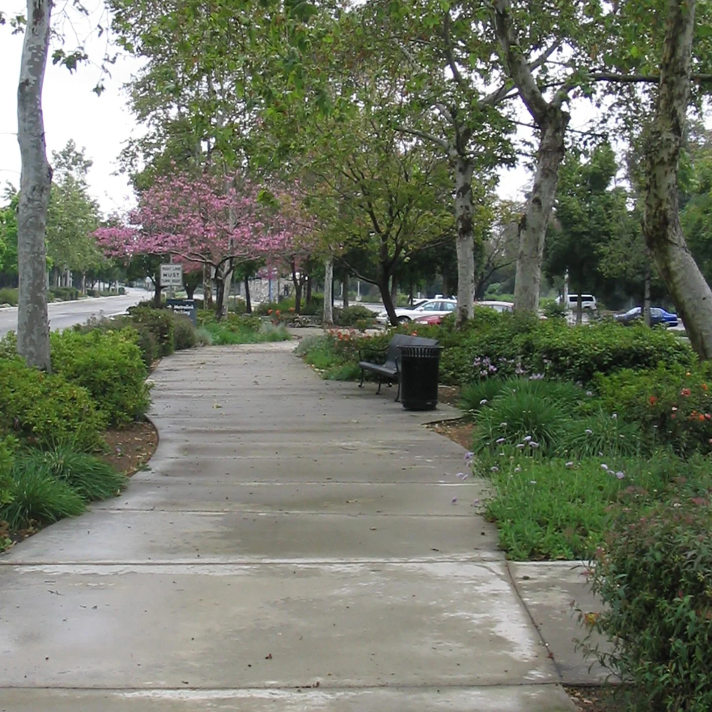 Transit Ctr close.jpg