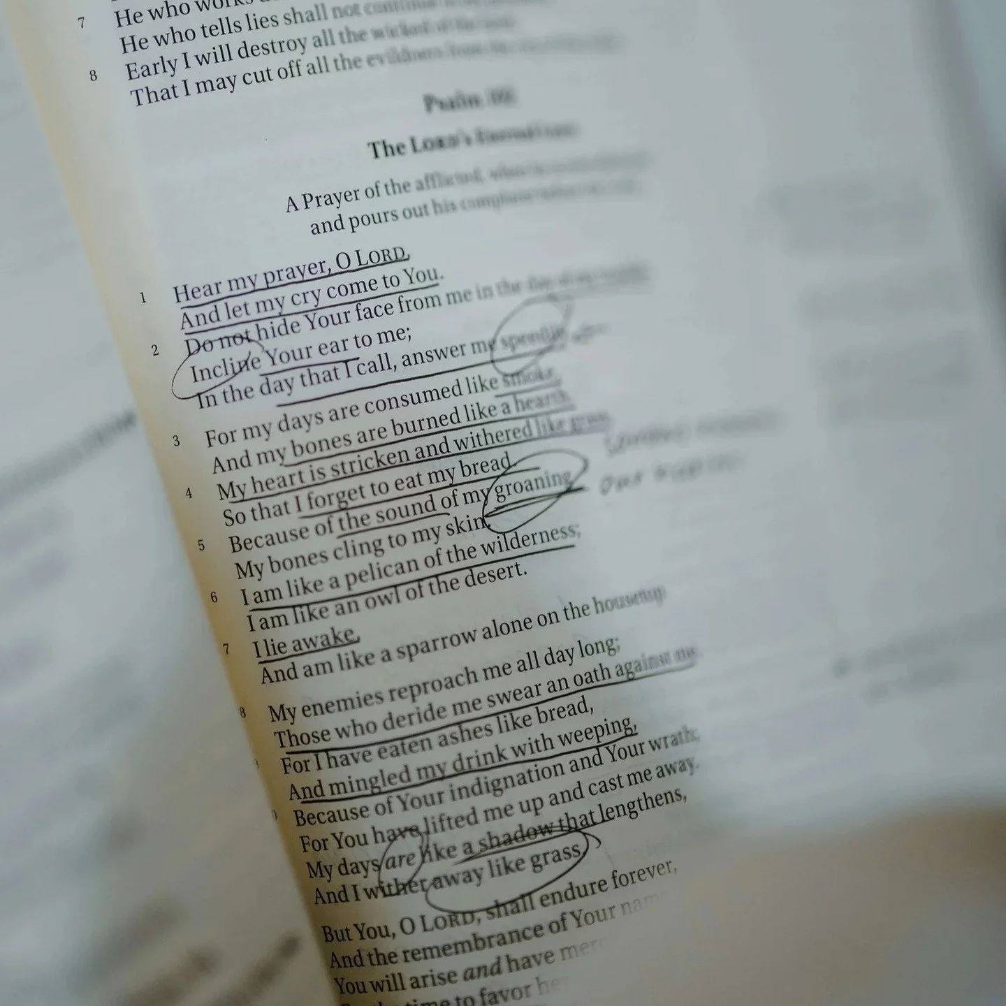 🕊️ Faith doesn&rsquo;t fix grief. But it can hold us in it.

When a baby dies, the church often doesn&rsquo;t know what to say. So it says too much&mdash;or nothing at all.

✨ Grieving families don&rsquo;t need clich&eacute;s.
✨ They don&rsquo;t nee