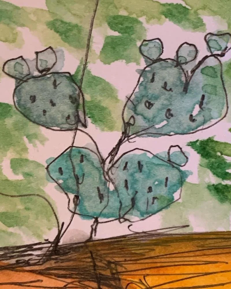 Sherri Allen Sketchbook Plant Drawing