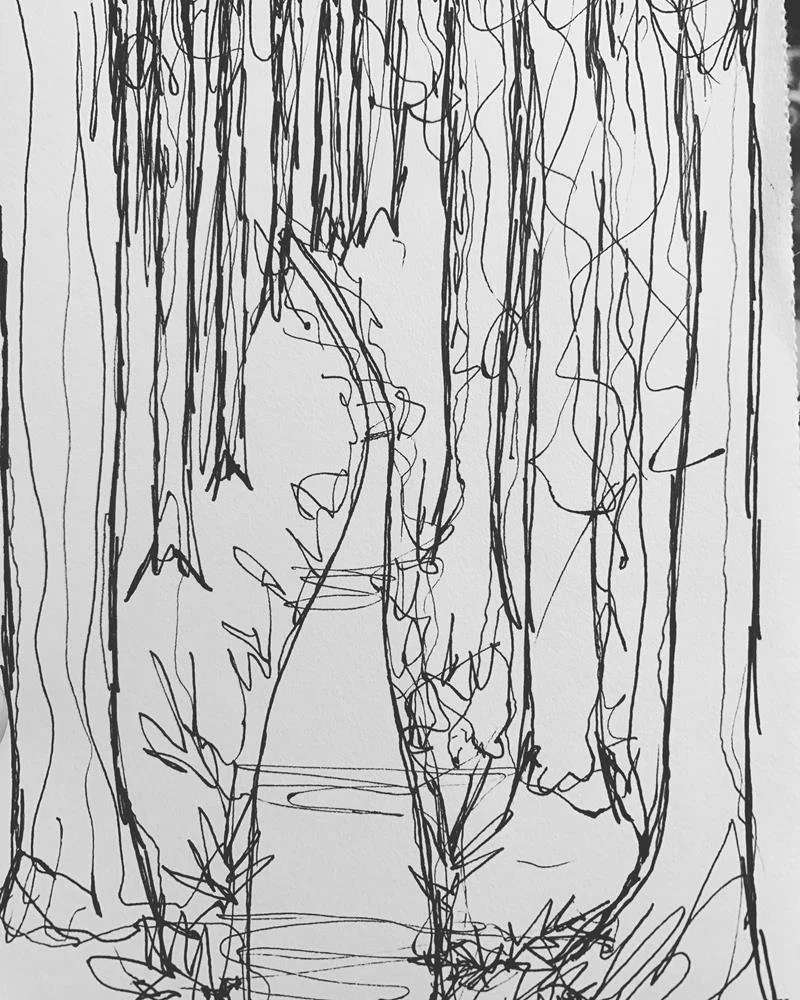 Sherri Allen Sketchbook landscape Drawing