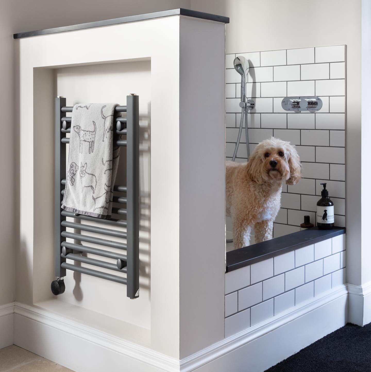 Every home should be tailored to each family members needs, including your pets! 

Hugo&rsquo;s dog shower here is a luxury but also extremely practical, not just for him but for his owners, now they no longer have to worry about muddy paw prints acr