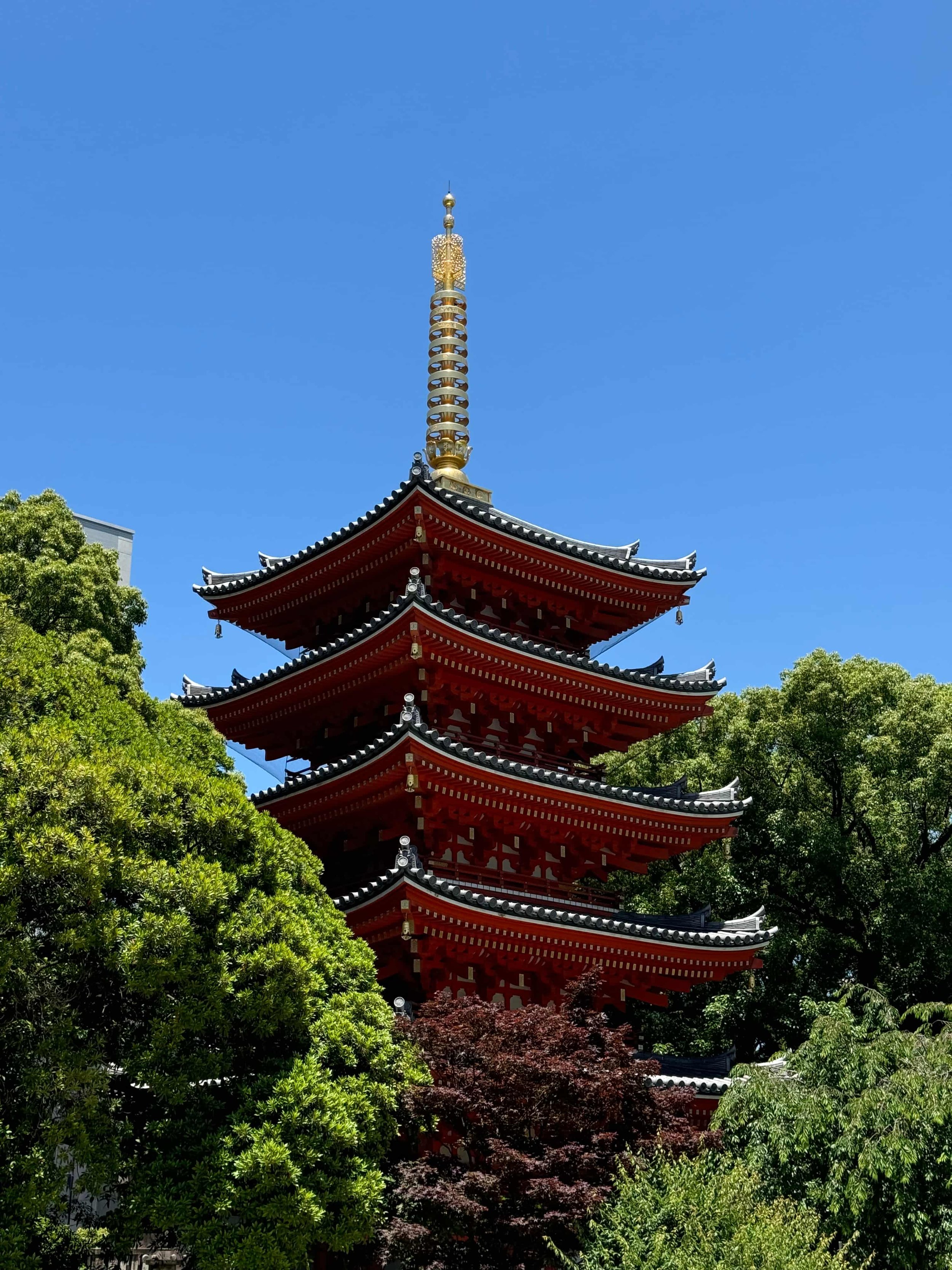 KONNICHIWA JAPAN - HAKATA PART 2 