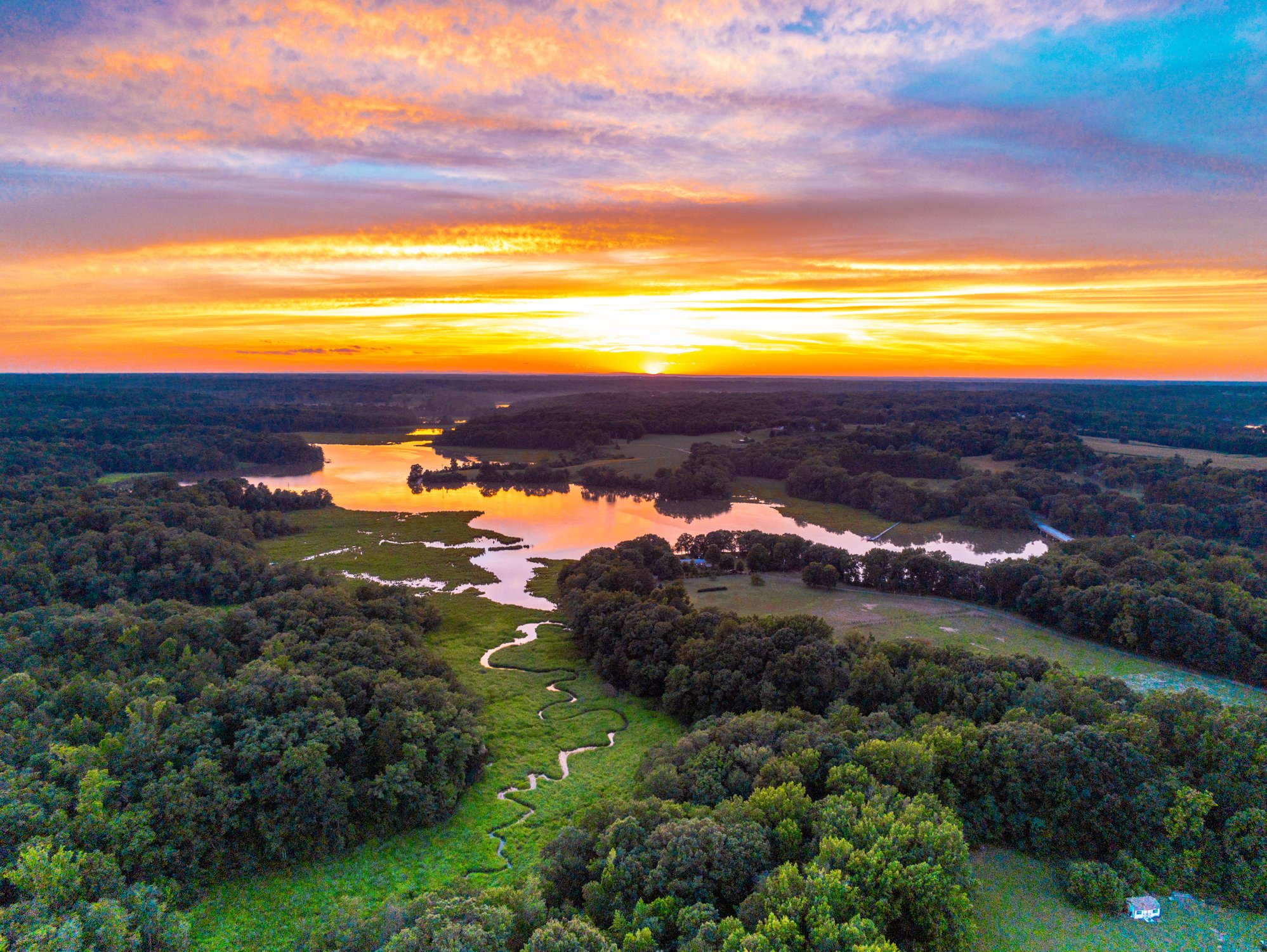 Therapy services in King George, Virginia – Thrive Counseling for Healing and Connection