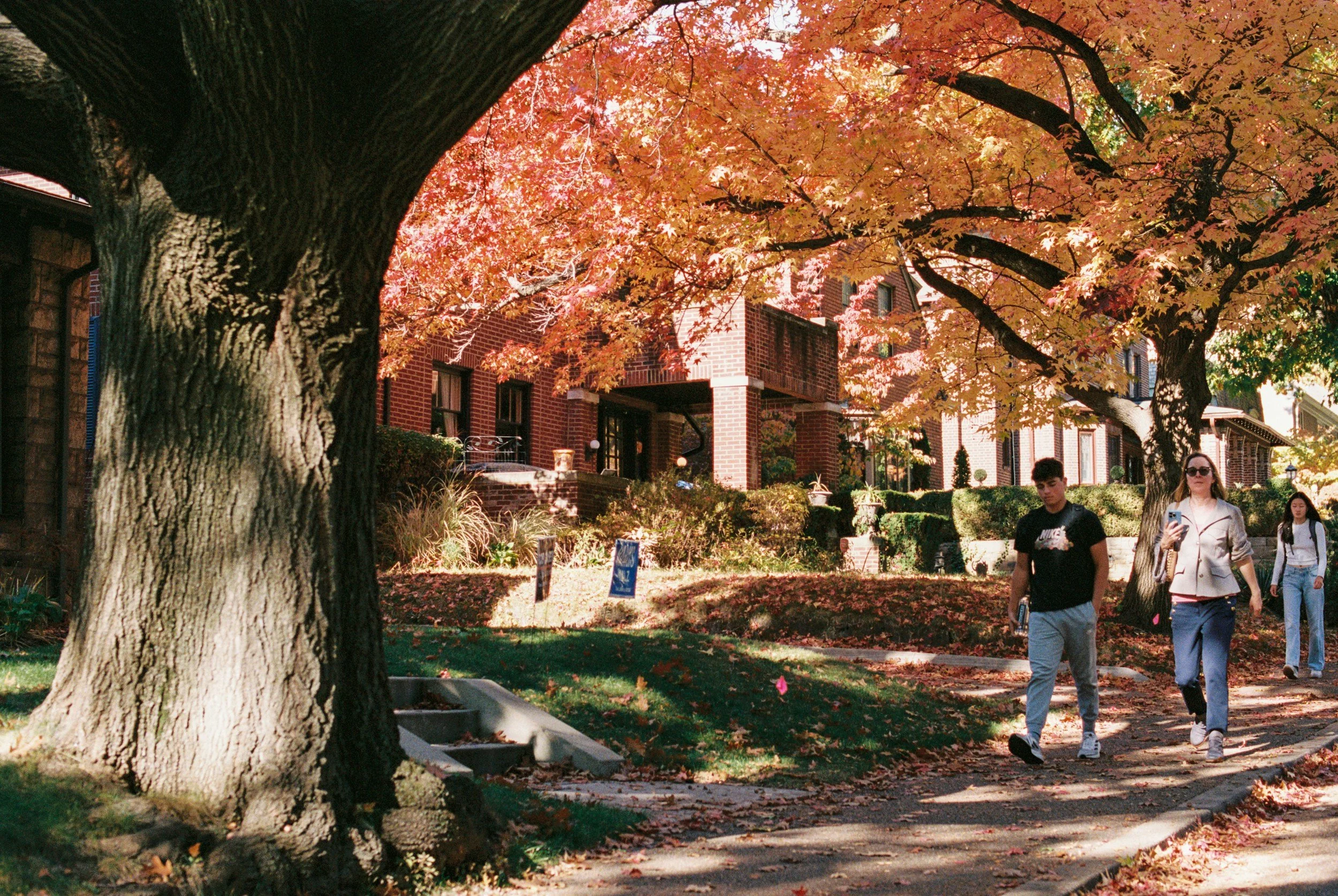 Therapy services in Harrisonburg, Virginia – Thrive Counseling for Healing and Connection