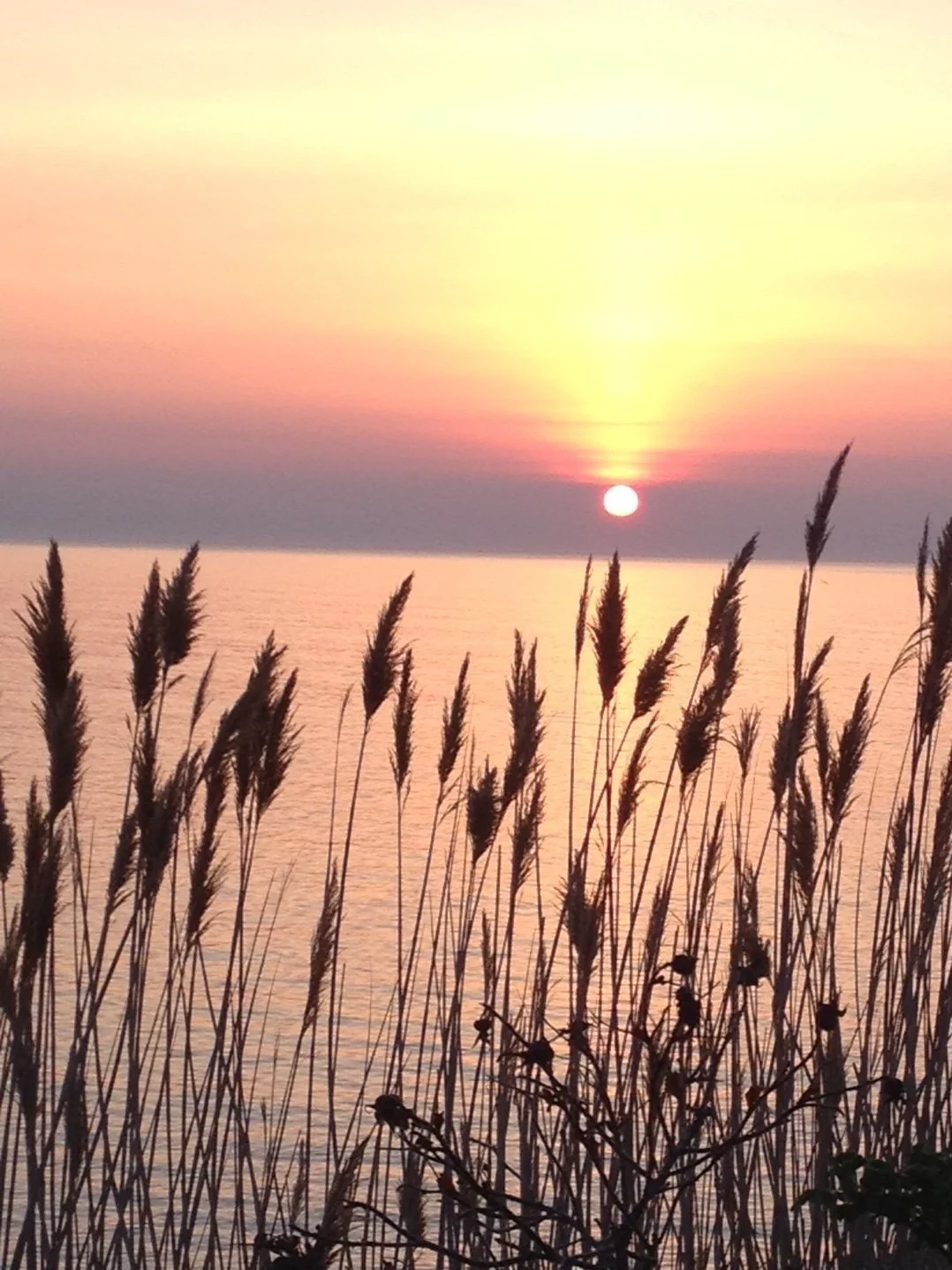 Acceptance and Commitment Therapy (ACT)