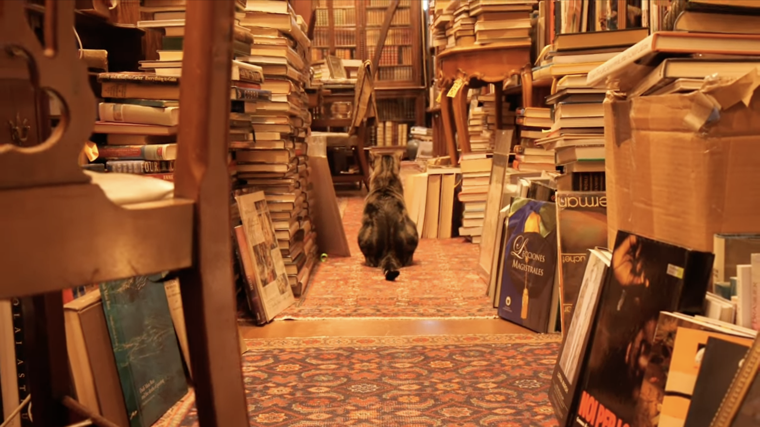 Old Florida Book Shop - Documentary