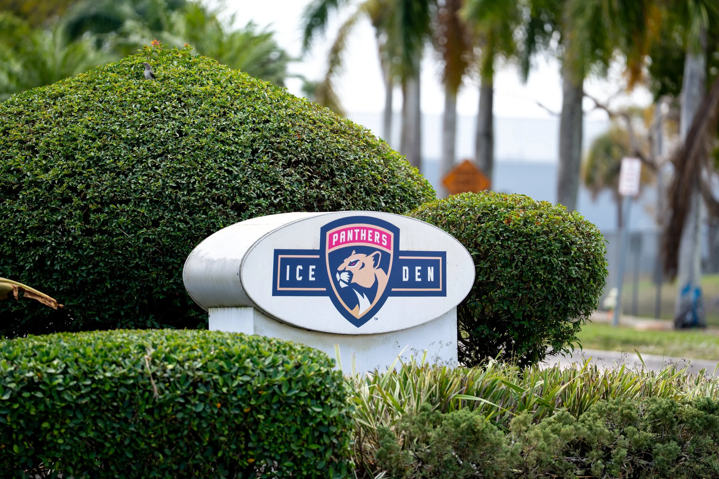 Florida Panthers IceDen