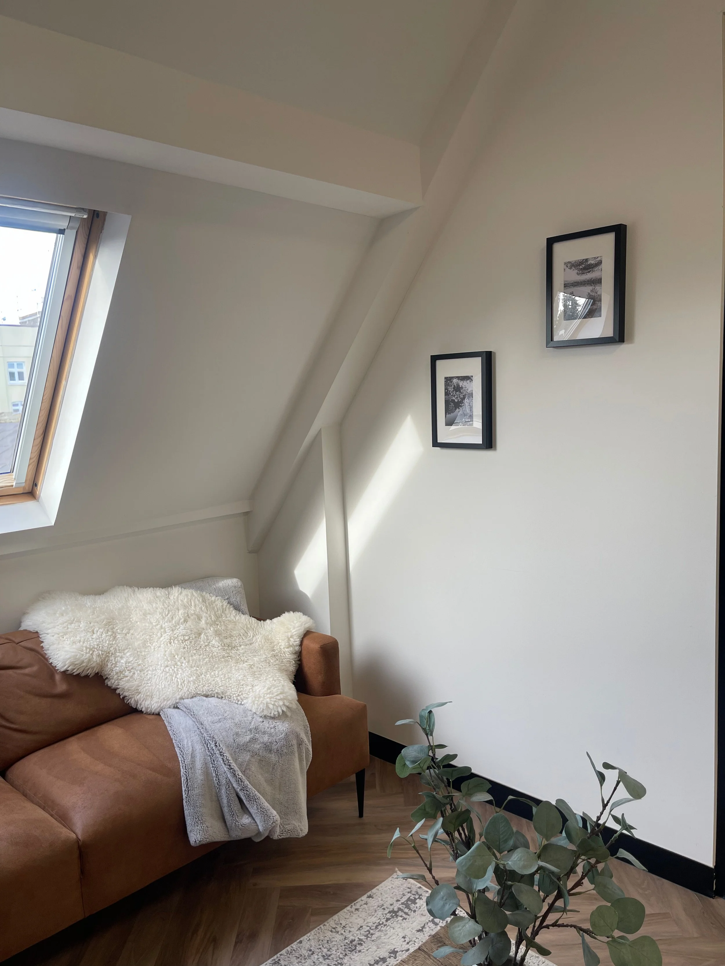 Cozy living room corner with a brown sofa, sheepskin throw, blanket, small potted plant, a rug, and framed black-and-white pictures on a white wall. Sunlight coming through a window.