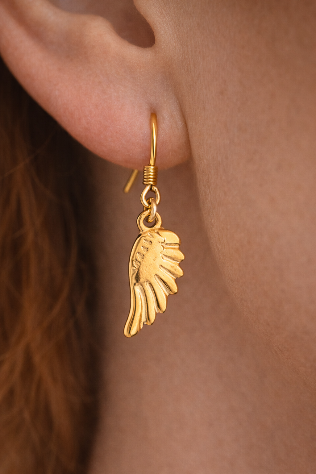 angel wings close up model.png