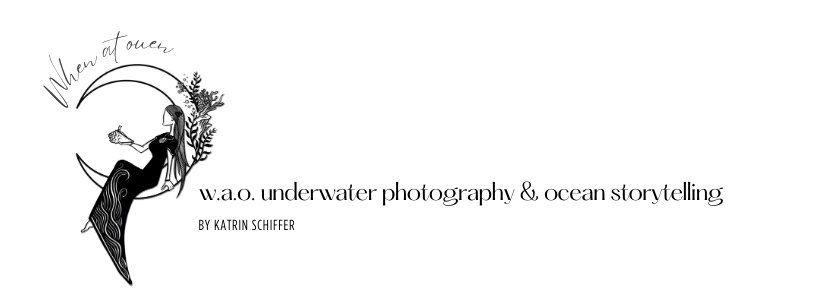w.a.o. underwater photography &amp; ocean storytelling