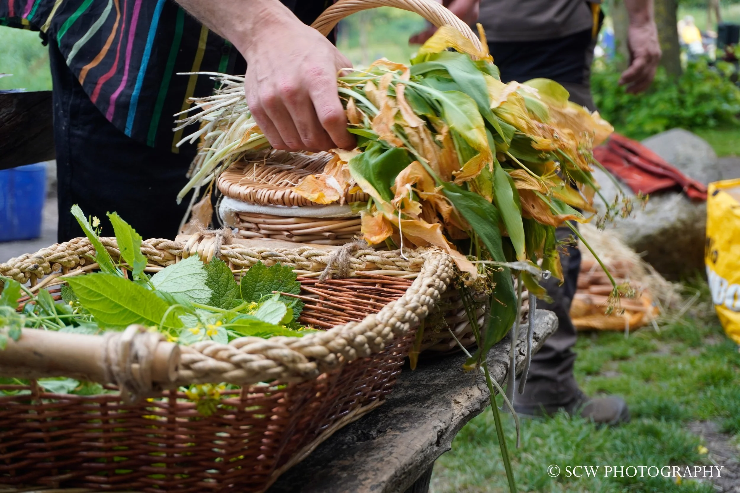 Expeditie eten uit de natuur.jpg