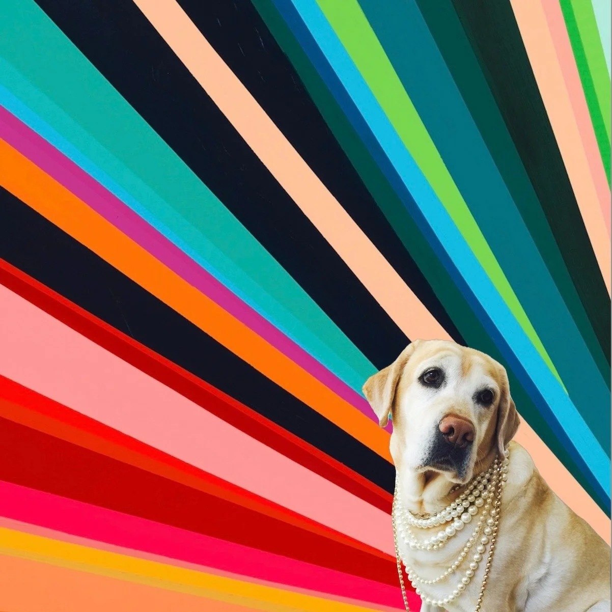 Give the gift of Wildly Vibrant Joy! Gift Cards are Here! Link in Bio 😘