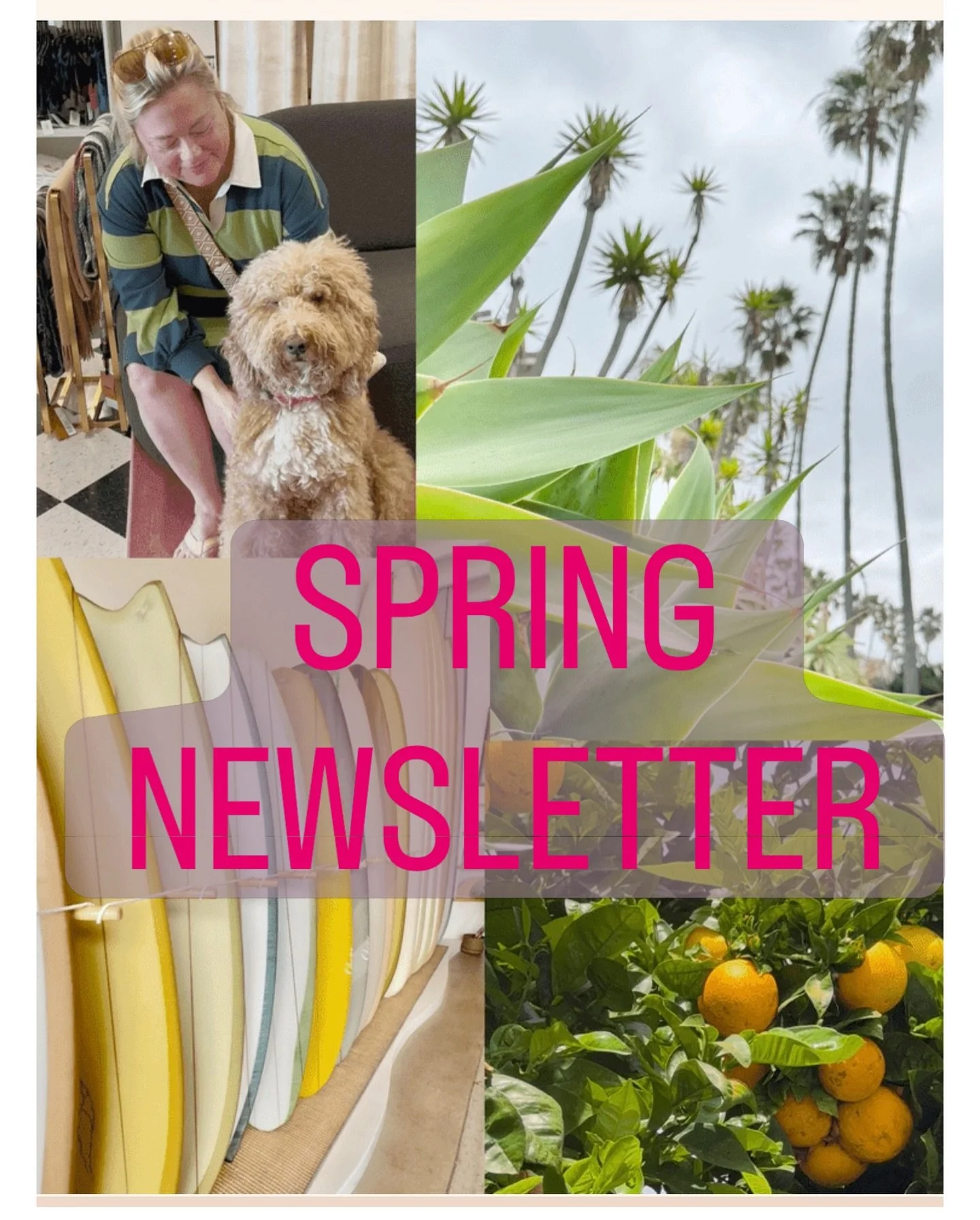 ⭐️New collection in the works and spring exhibitions 🌊🏖️🖼️ My latest newsletter is available now 🪩 link in bio to sign up or DM me 🤗

#christapeytonart #artexhibitions #california