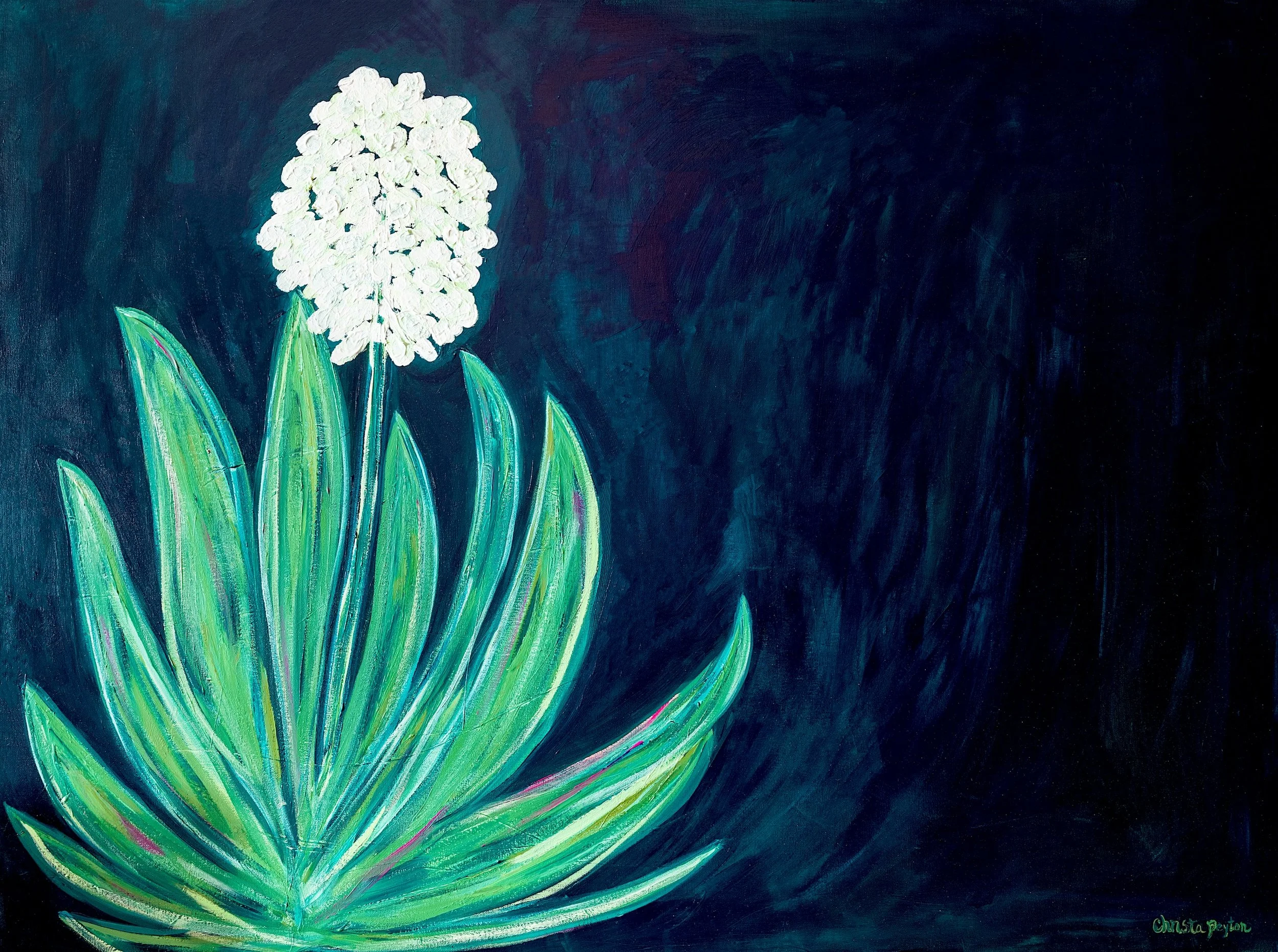 Marfa.Blooms.jpg