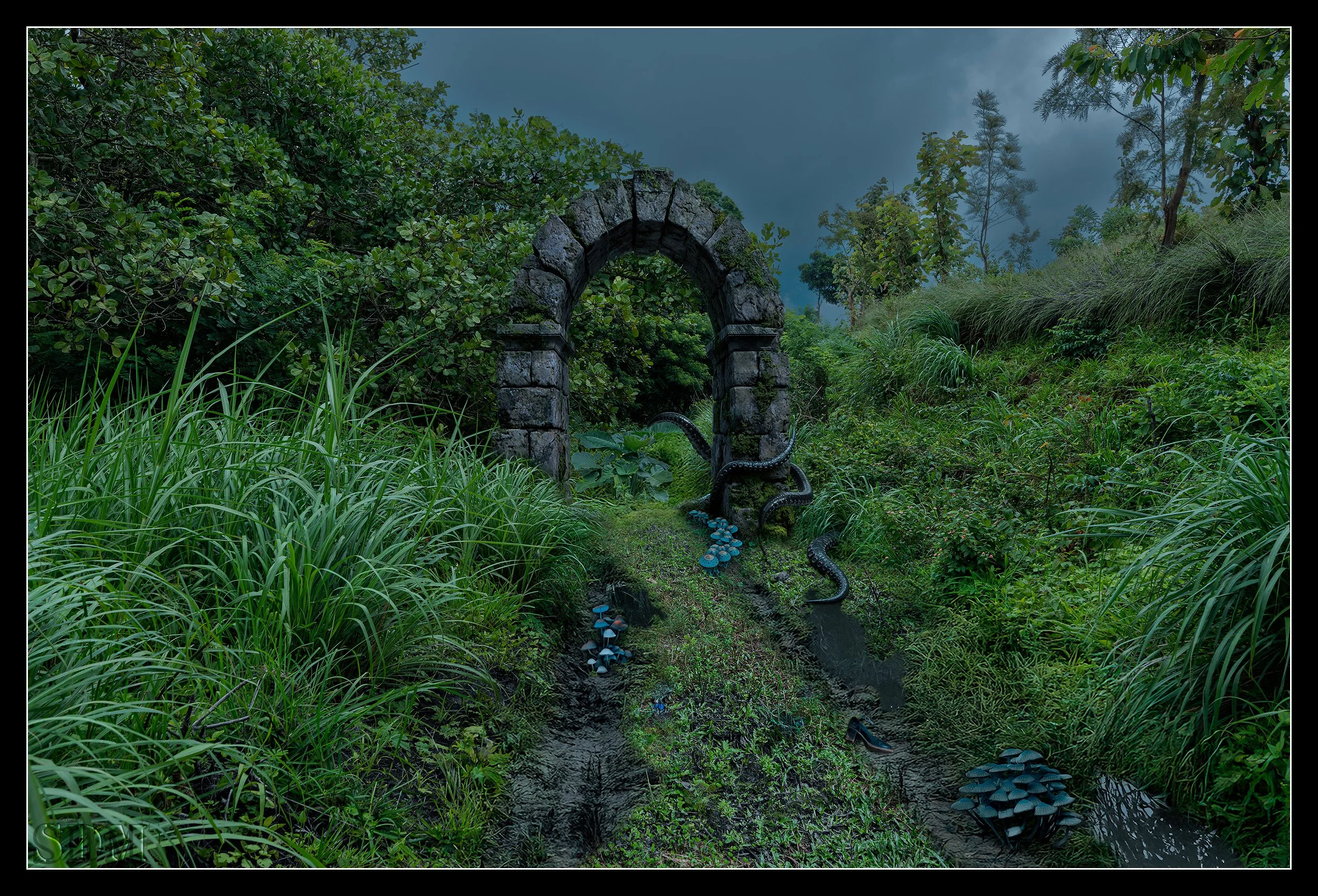The Road Not Taken